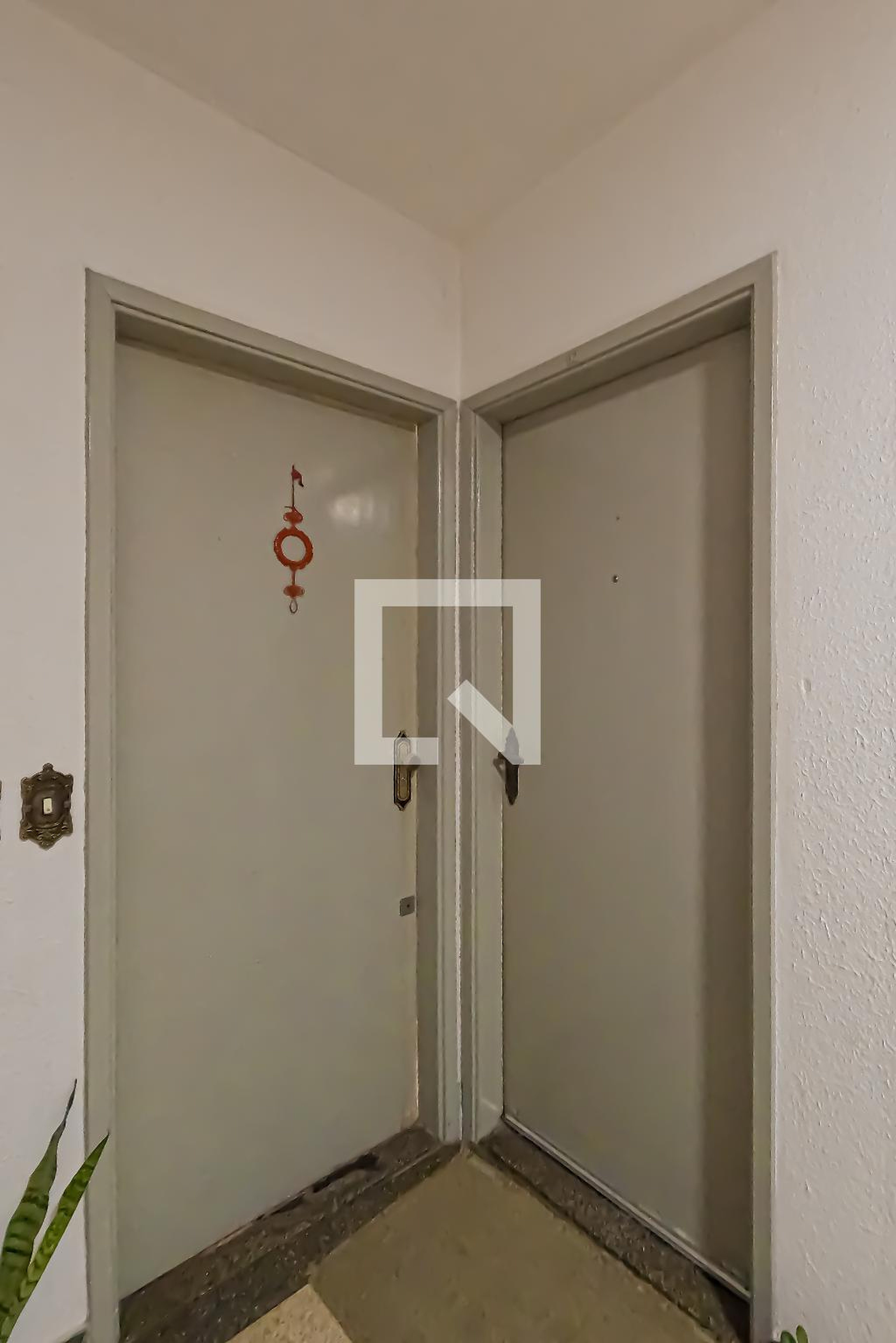 Entrada - Flamingo e Gaivotas