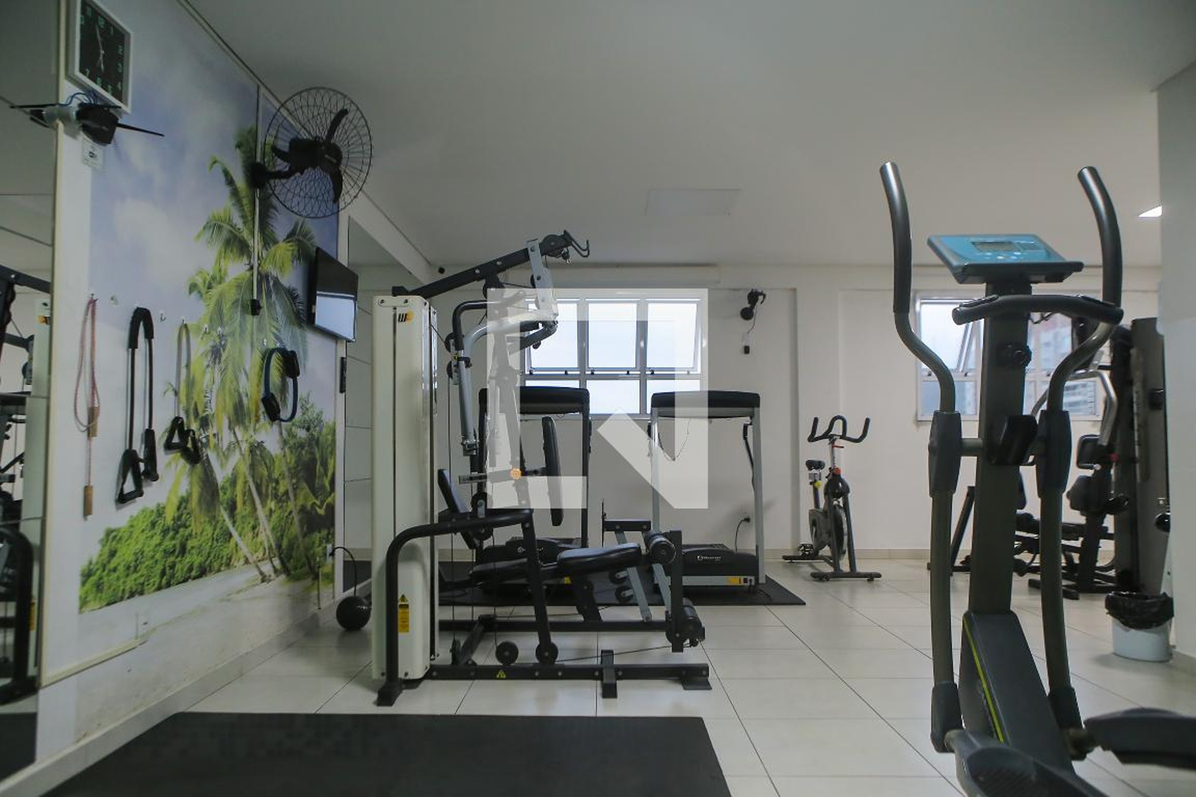 Academia - Orquídea Park