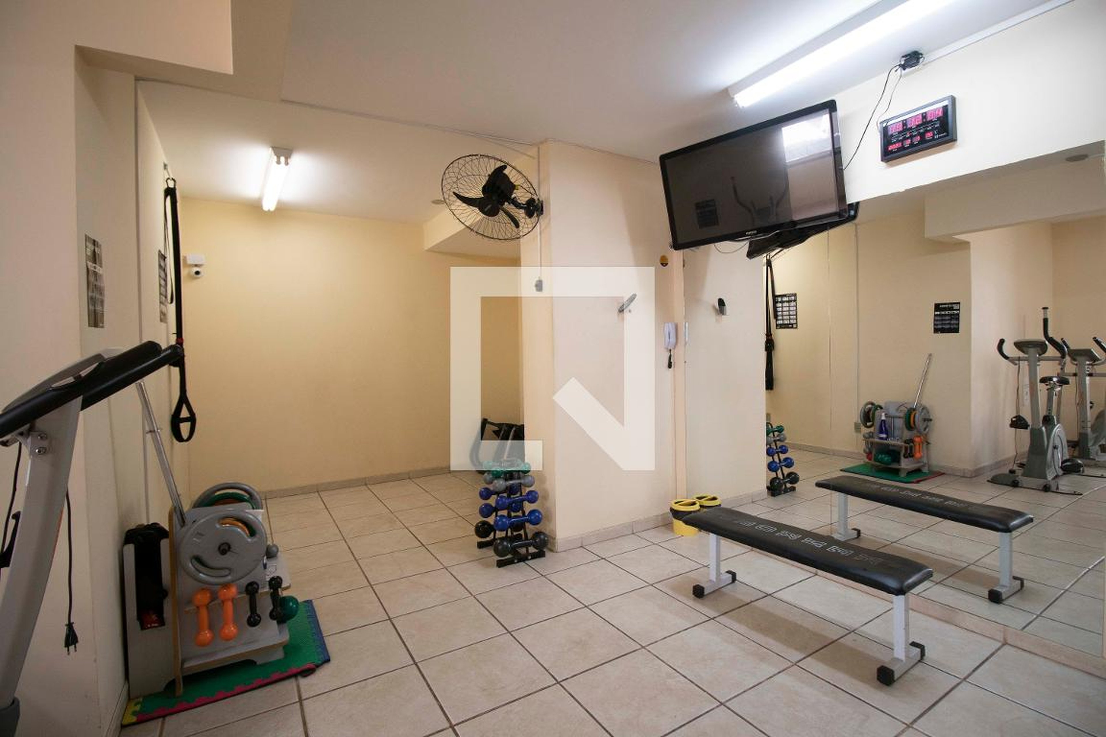 Academia - Flamingo Master