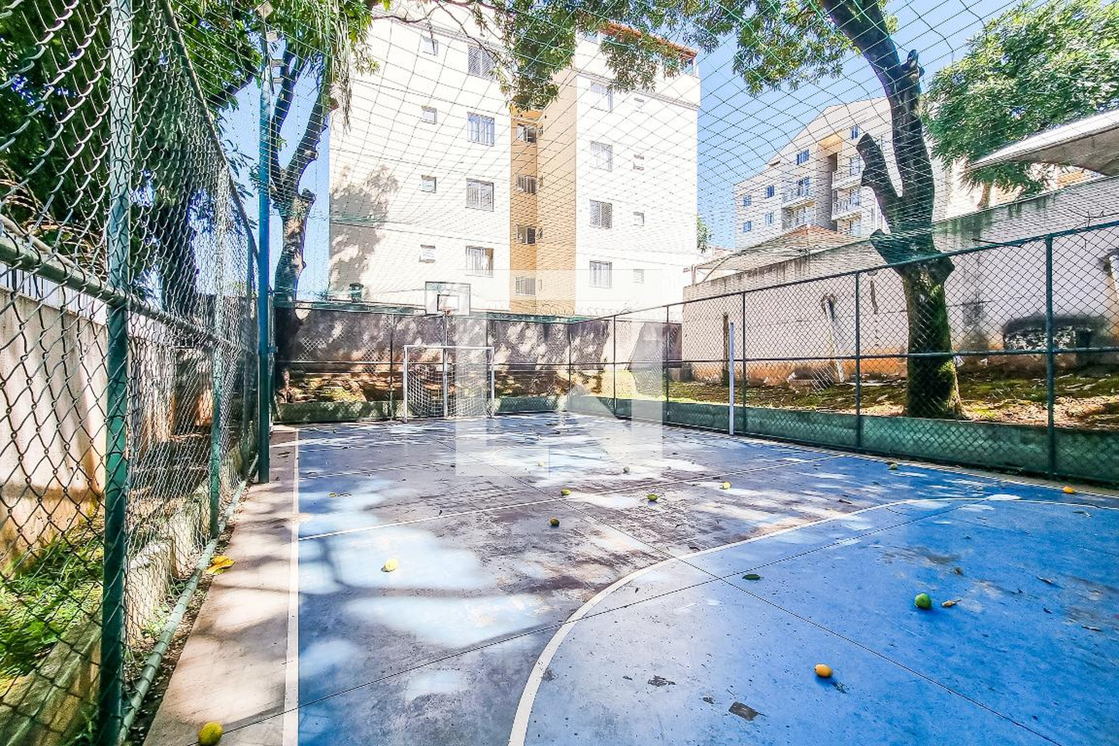 Quadra - Rossi Mais Primavera