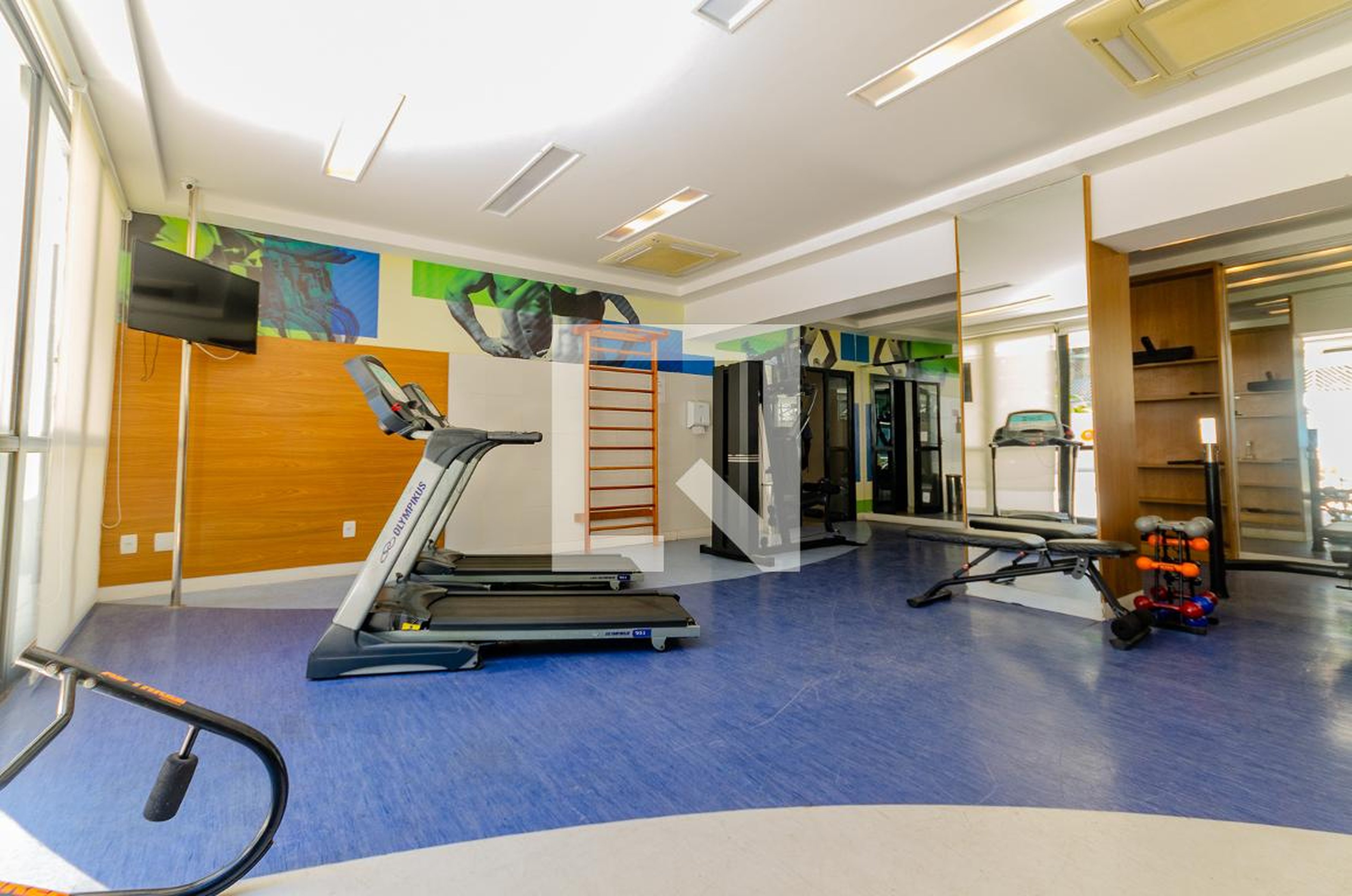 Academia - Ondina Choice