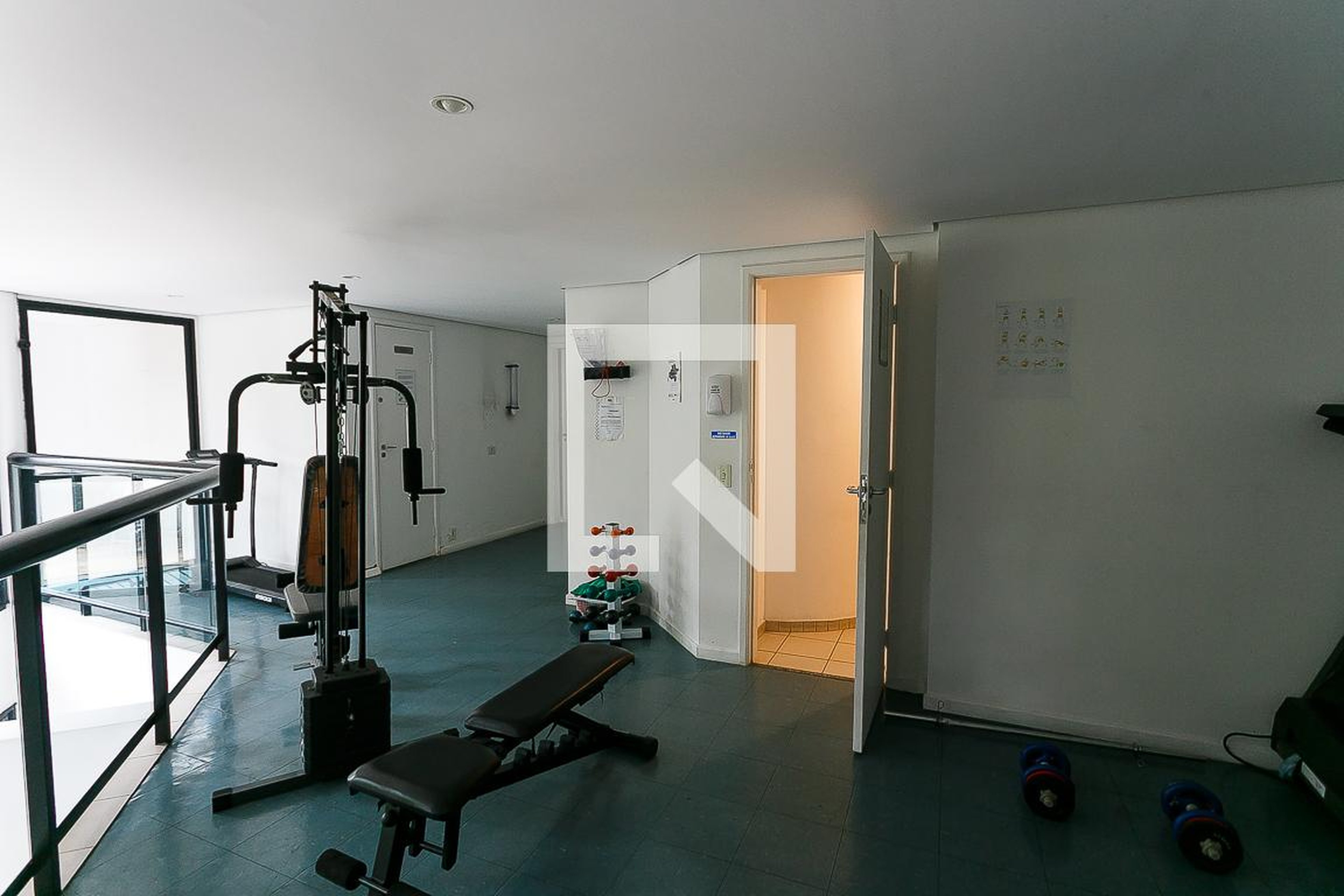 Academia - Royal Bird