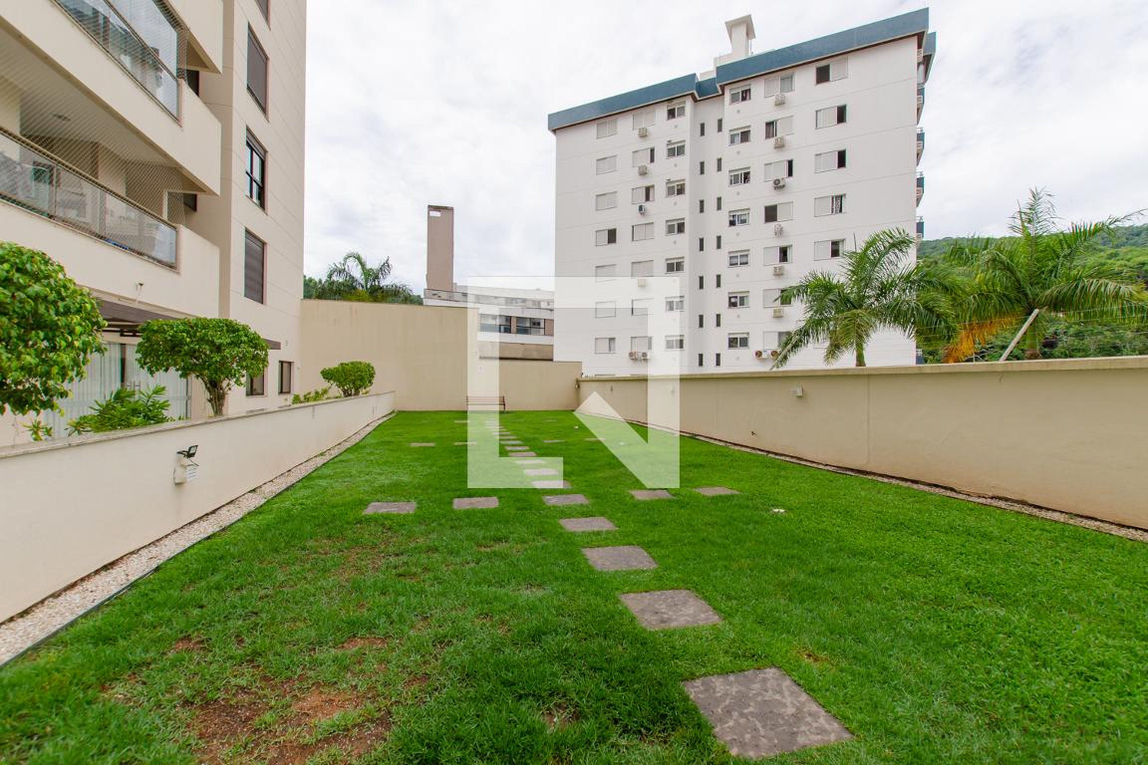 Espaço pet - Plaza di Roma