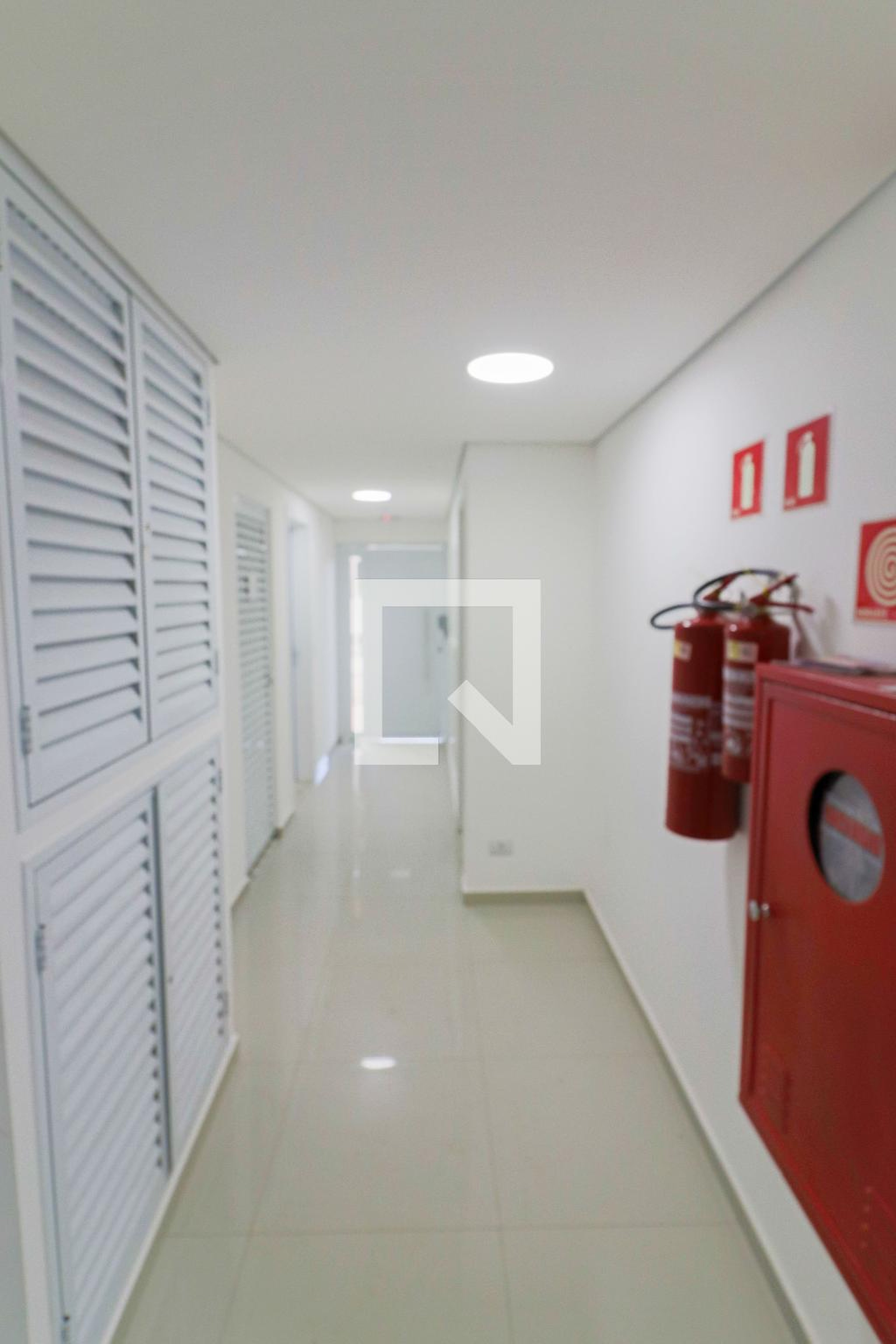 Hall - Burgman Royale