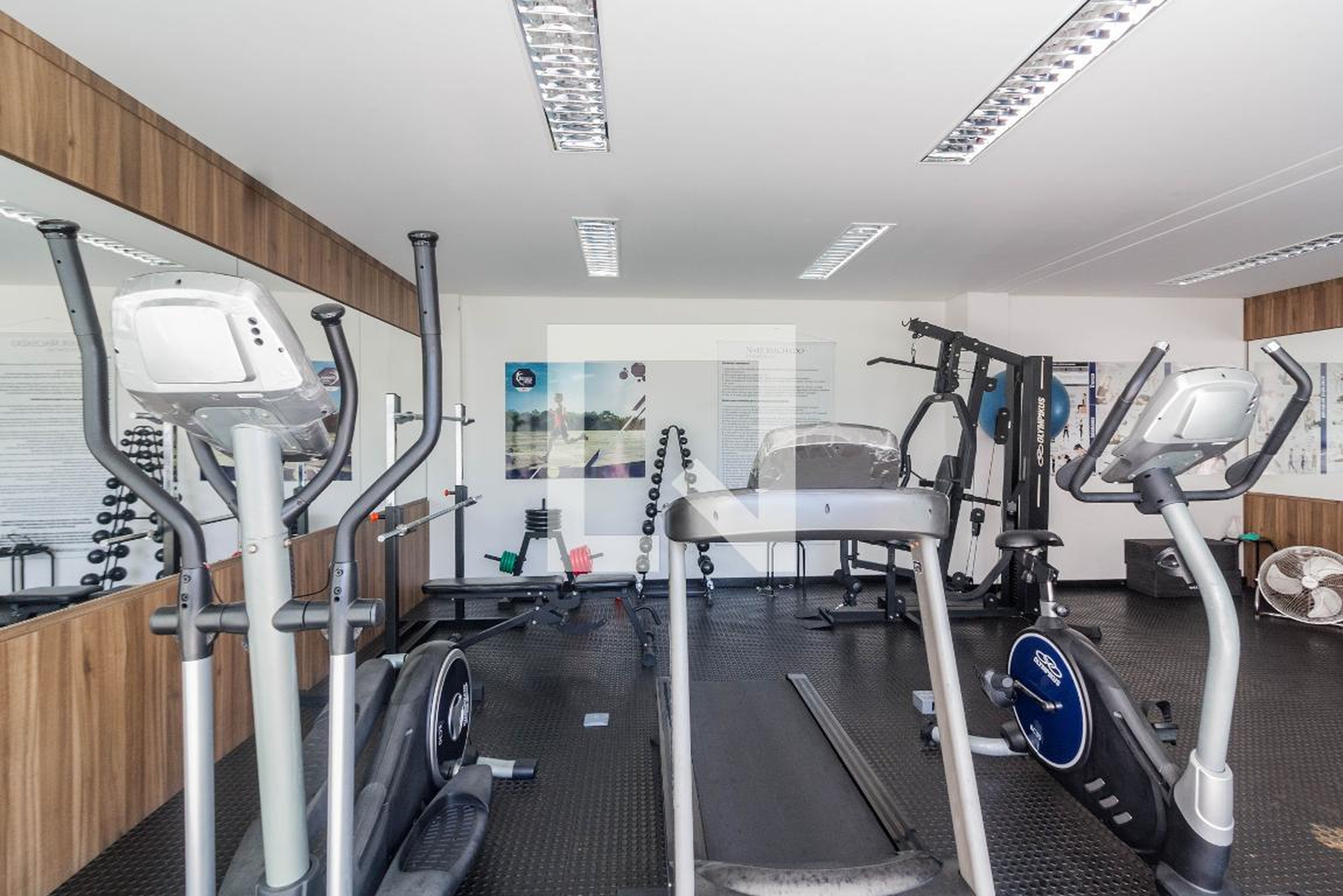 Academia - Nair Machado