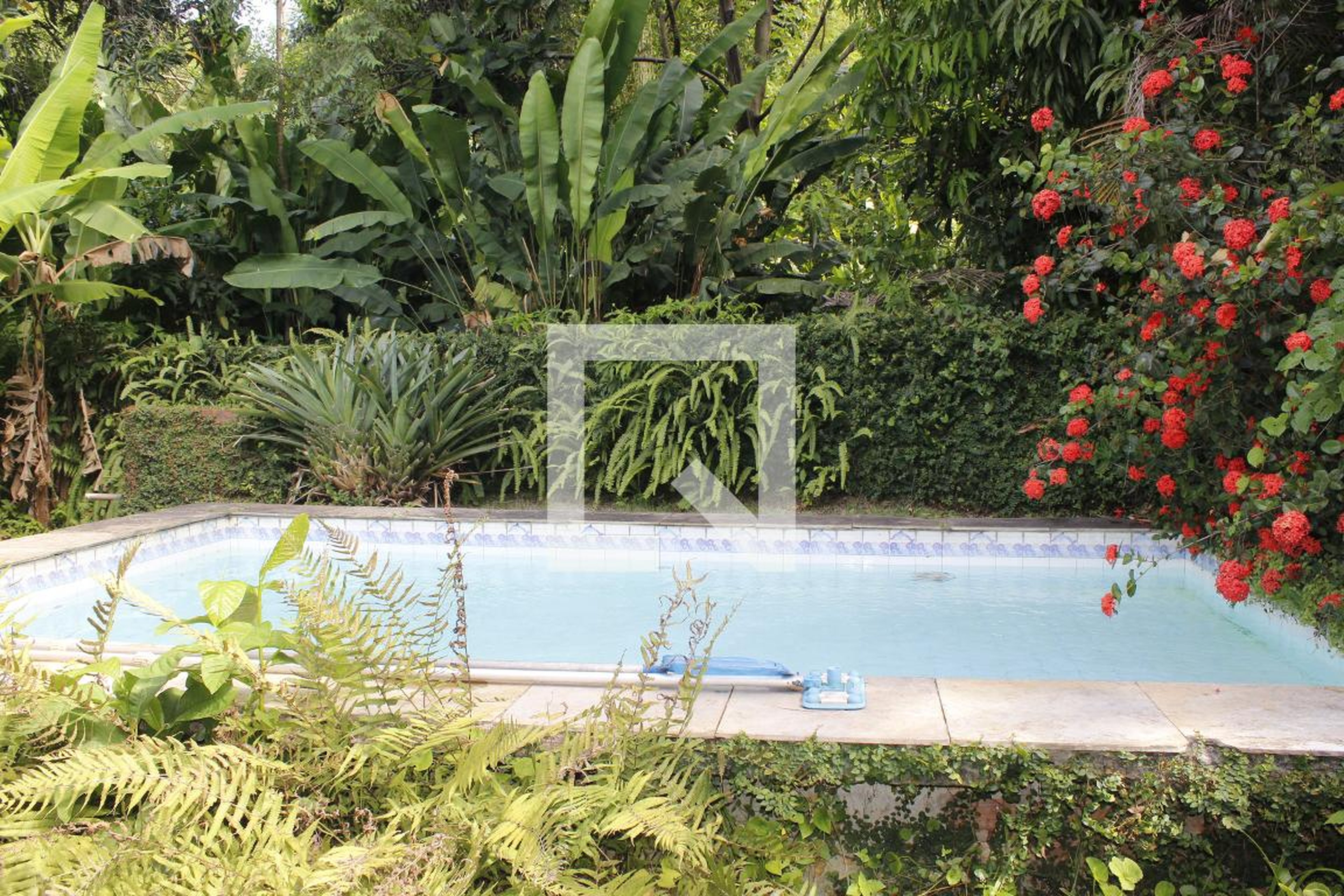 Piscina - Jardim Clarice
