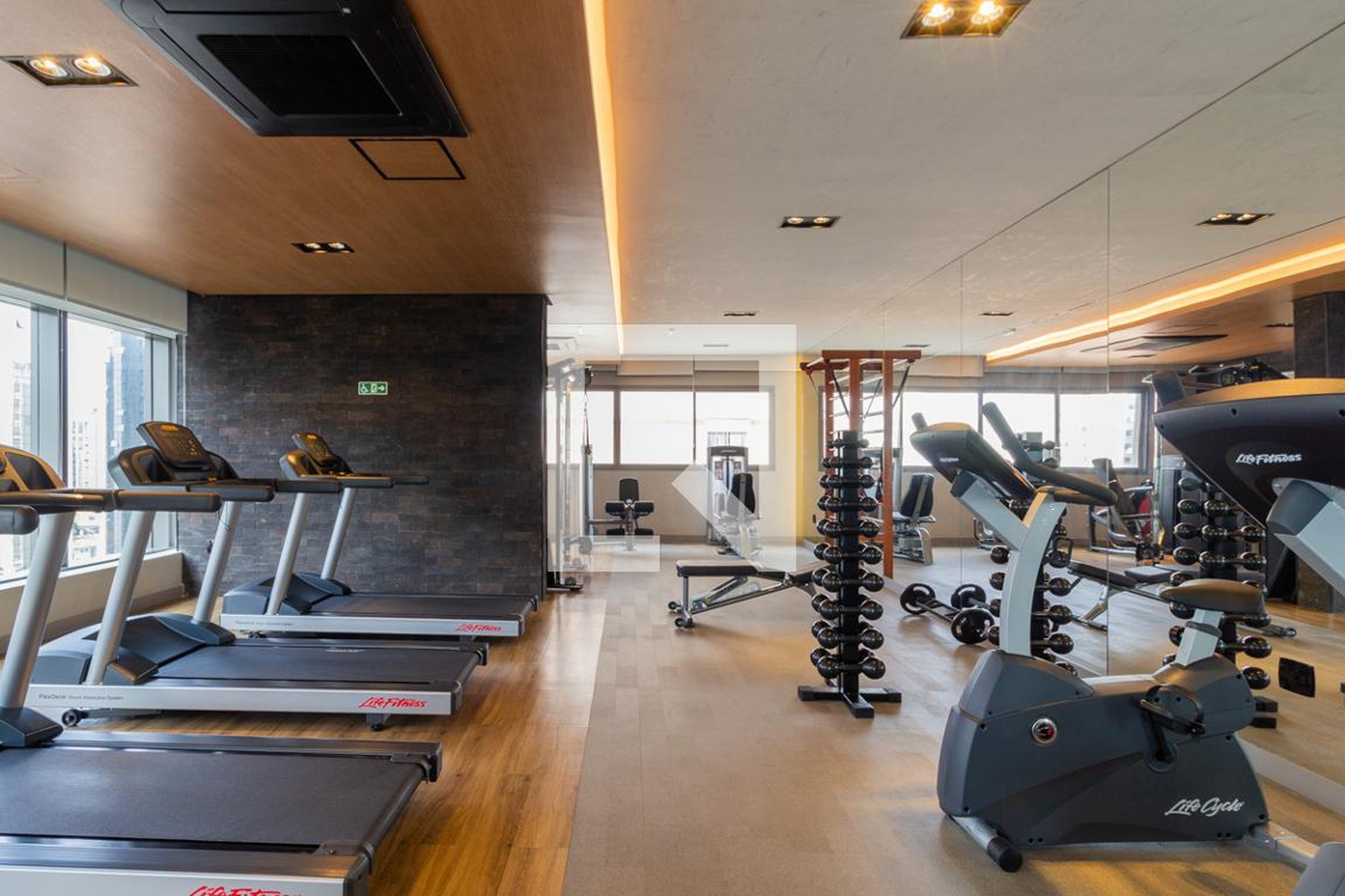 Academia - Ayla Moema