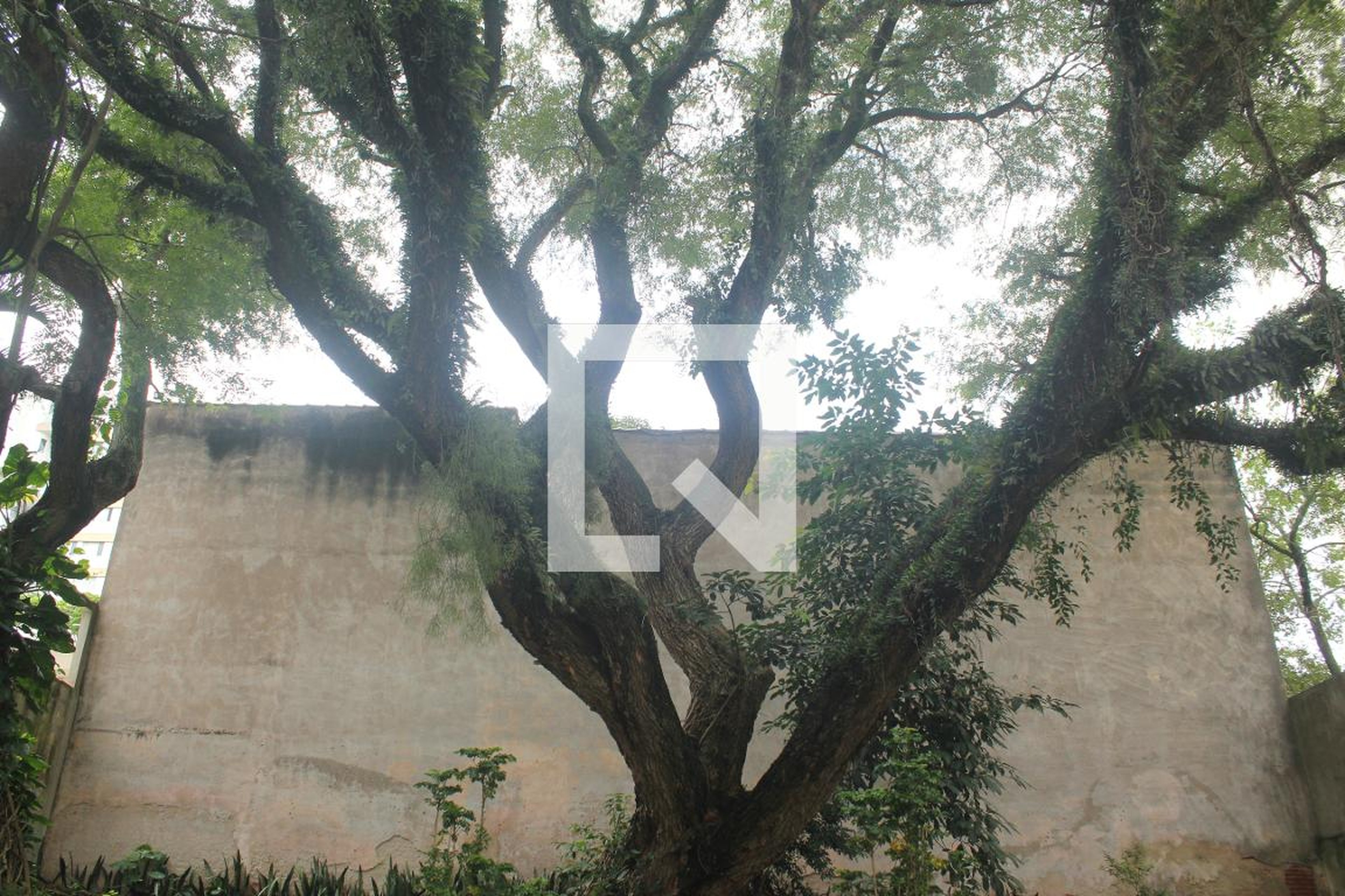 Área comum Edifício Márcia