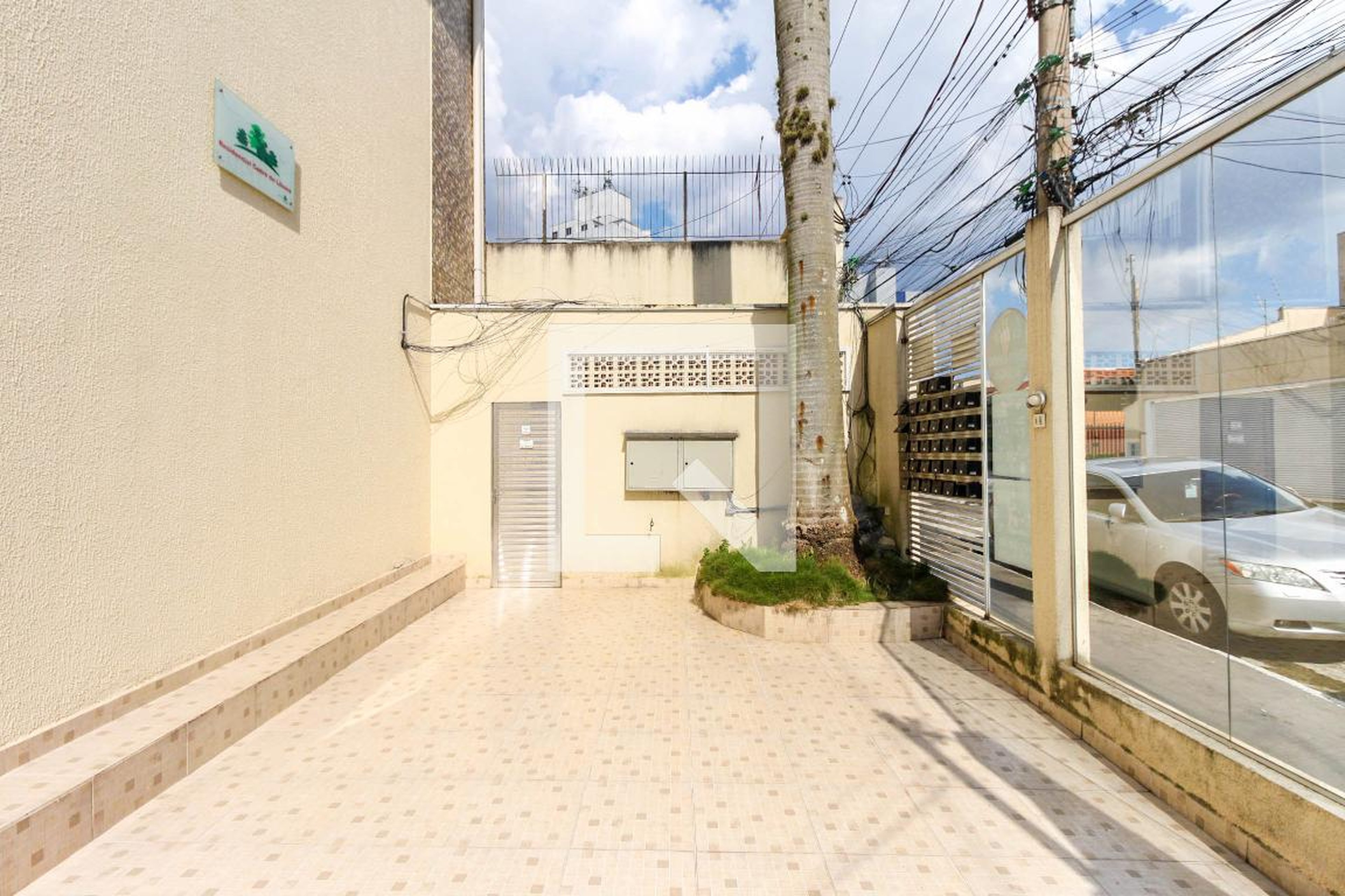 Área externa - Cedro do Líbano