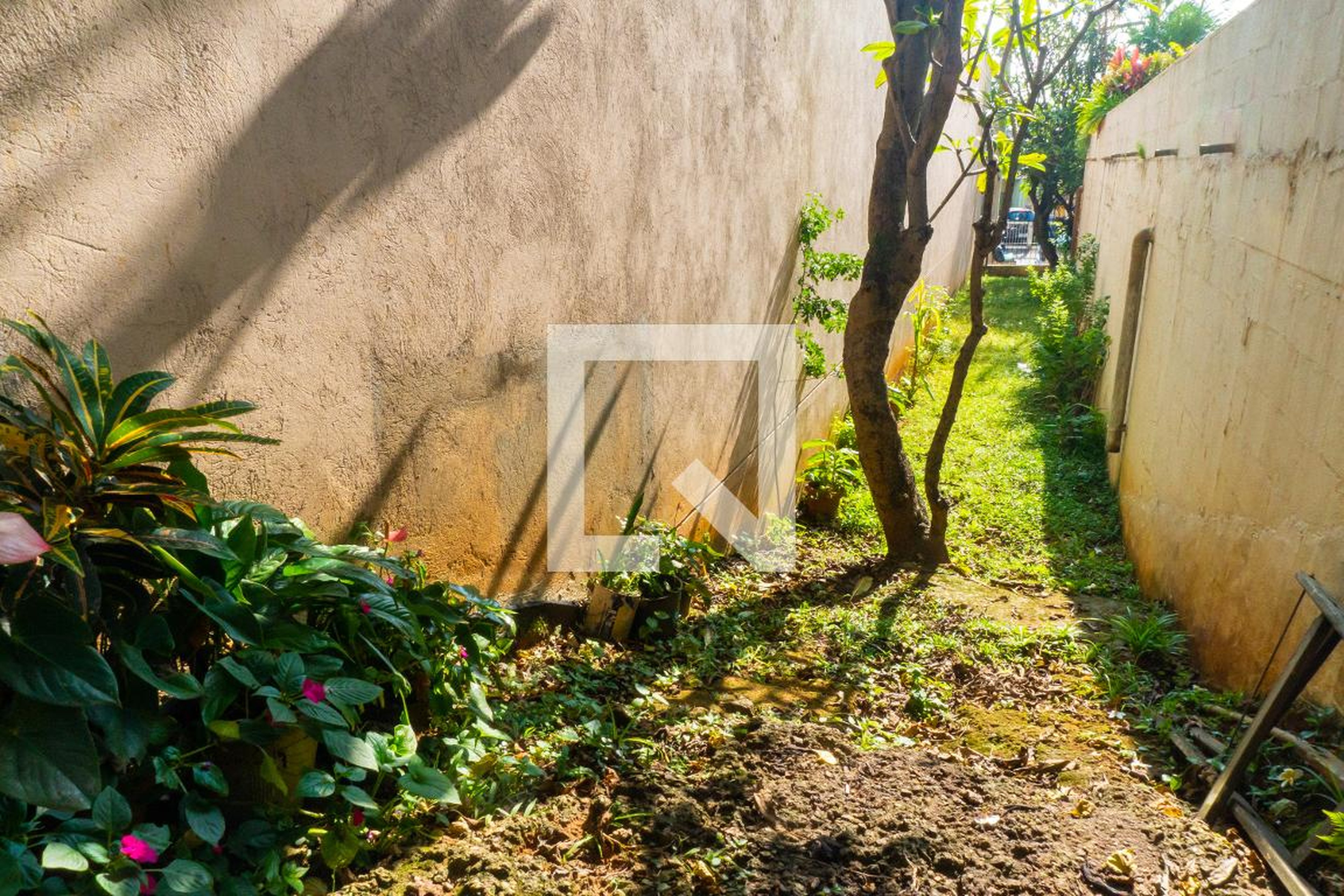 Espaço pet - Planalto