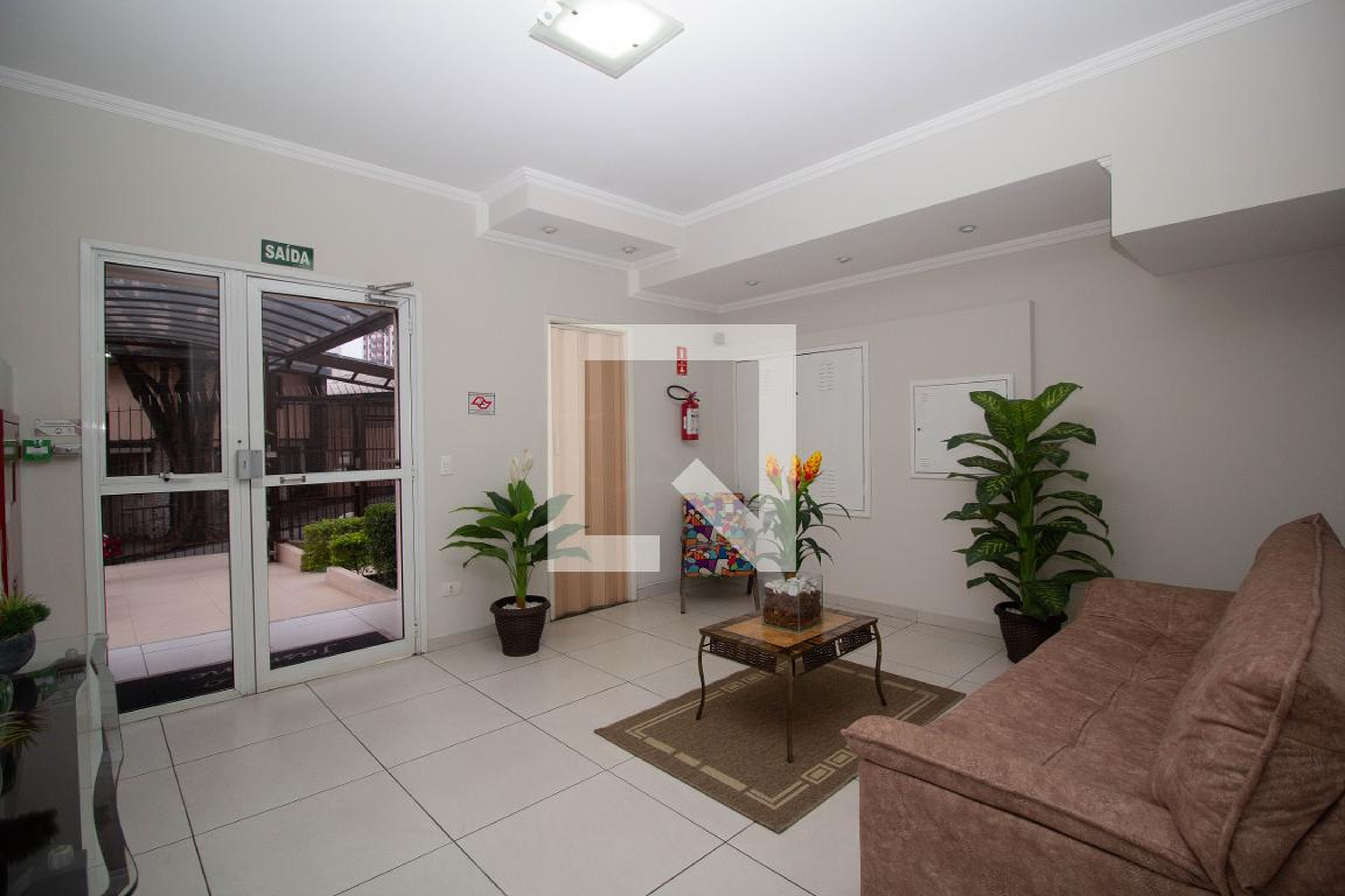 Hall social - Jasmine