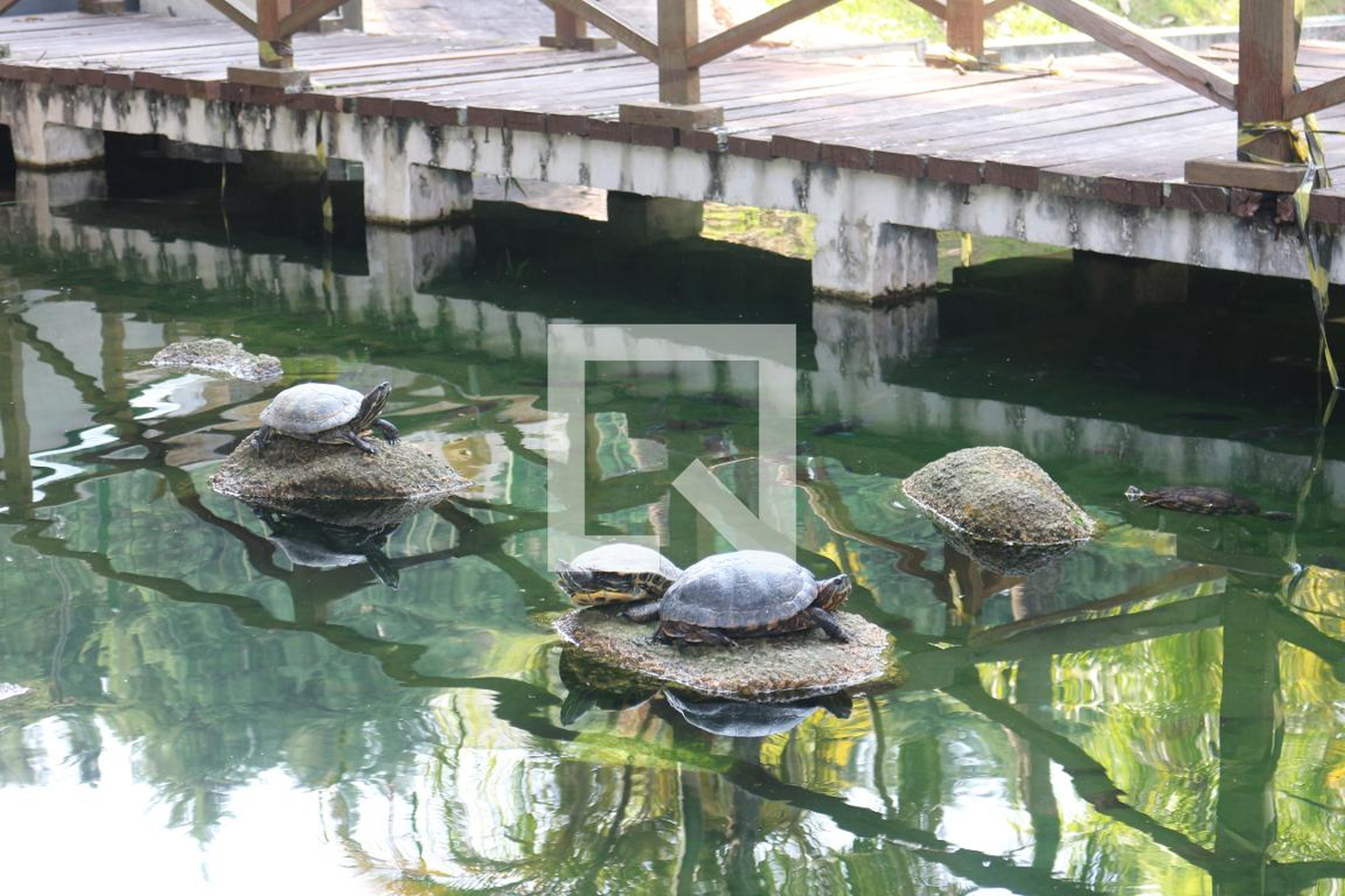 Área comum - Jacaranda