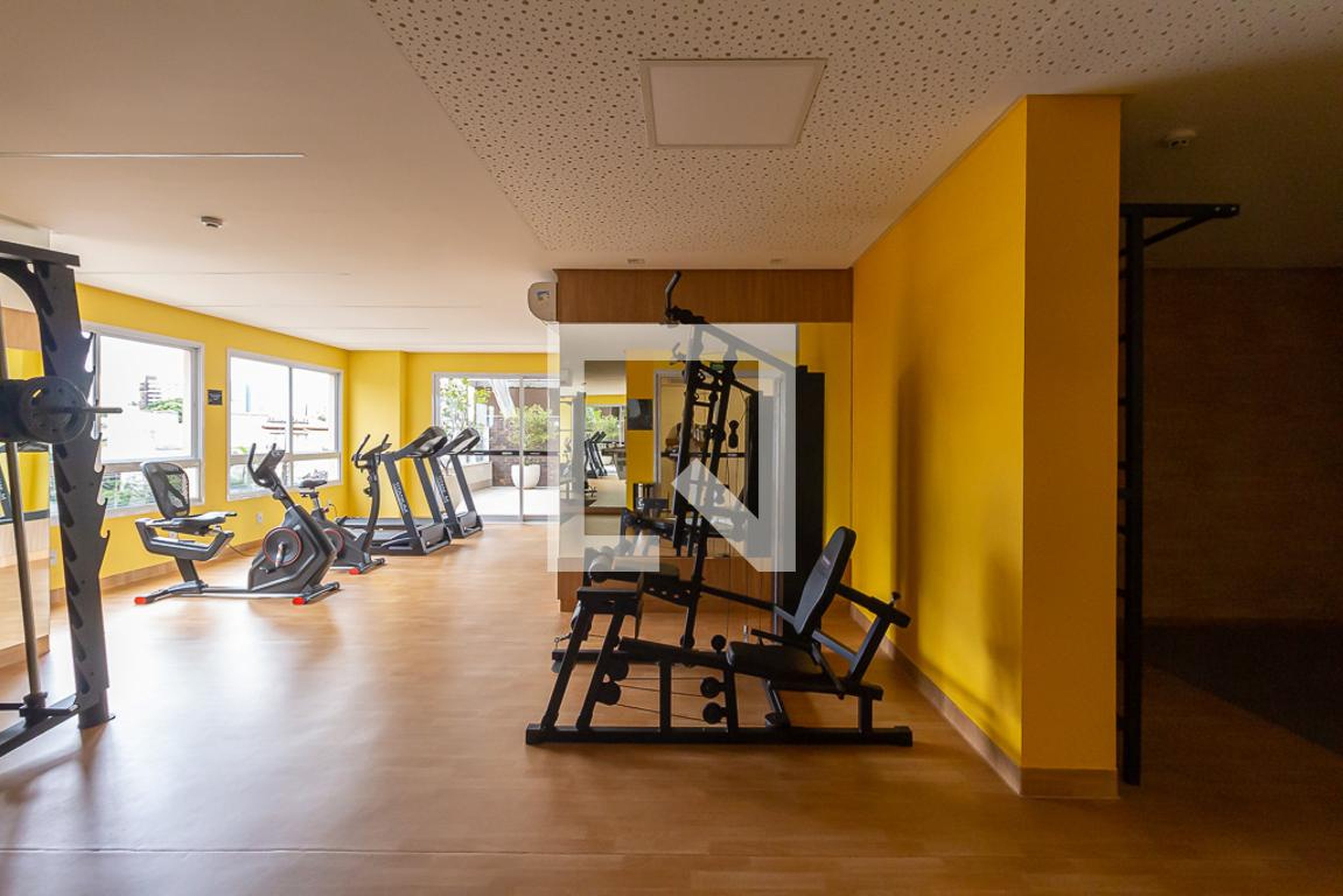 Academia - Celebrate Vaca Brava