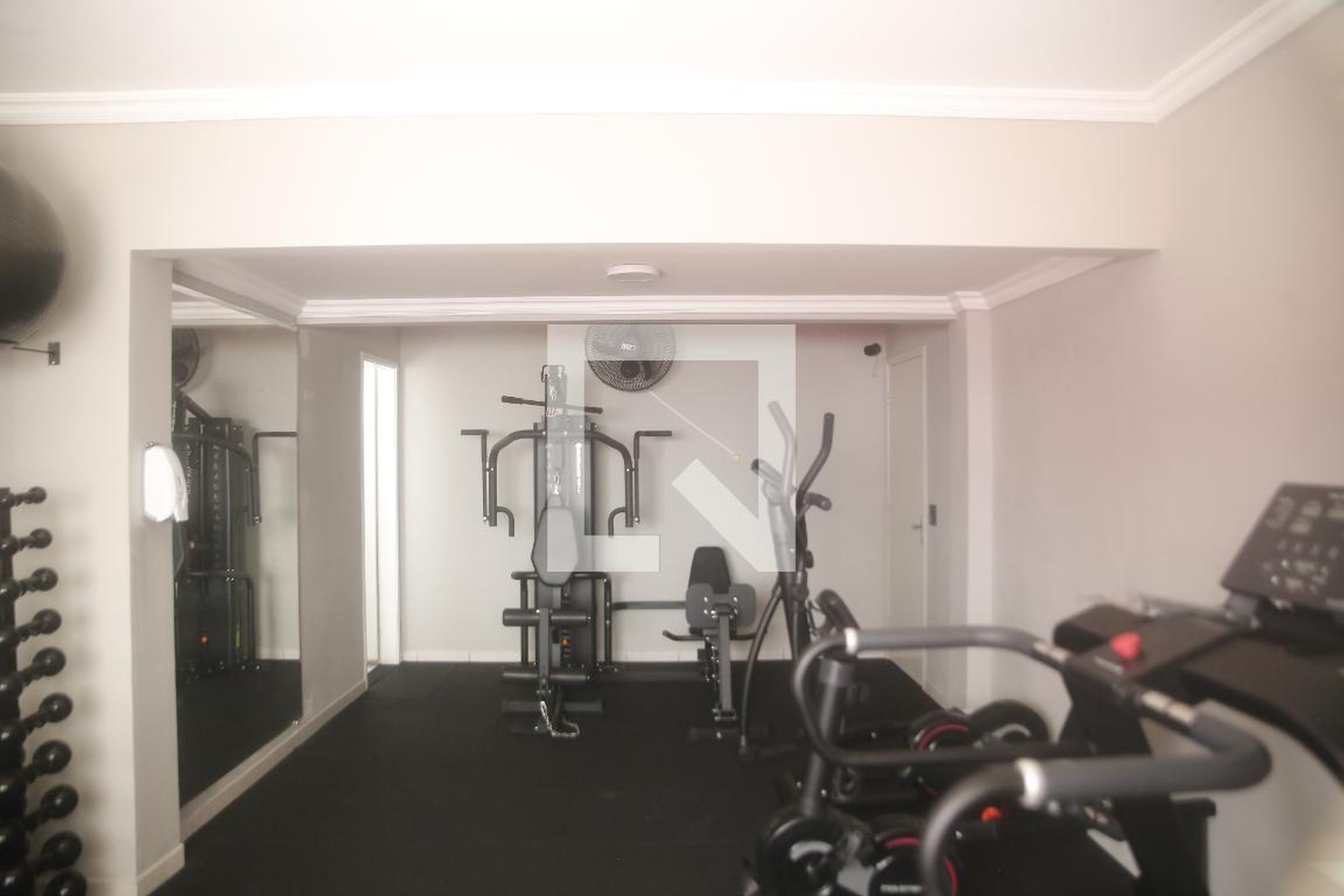 Academia - Luzia Gozzi Arjonas