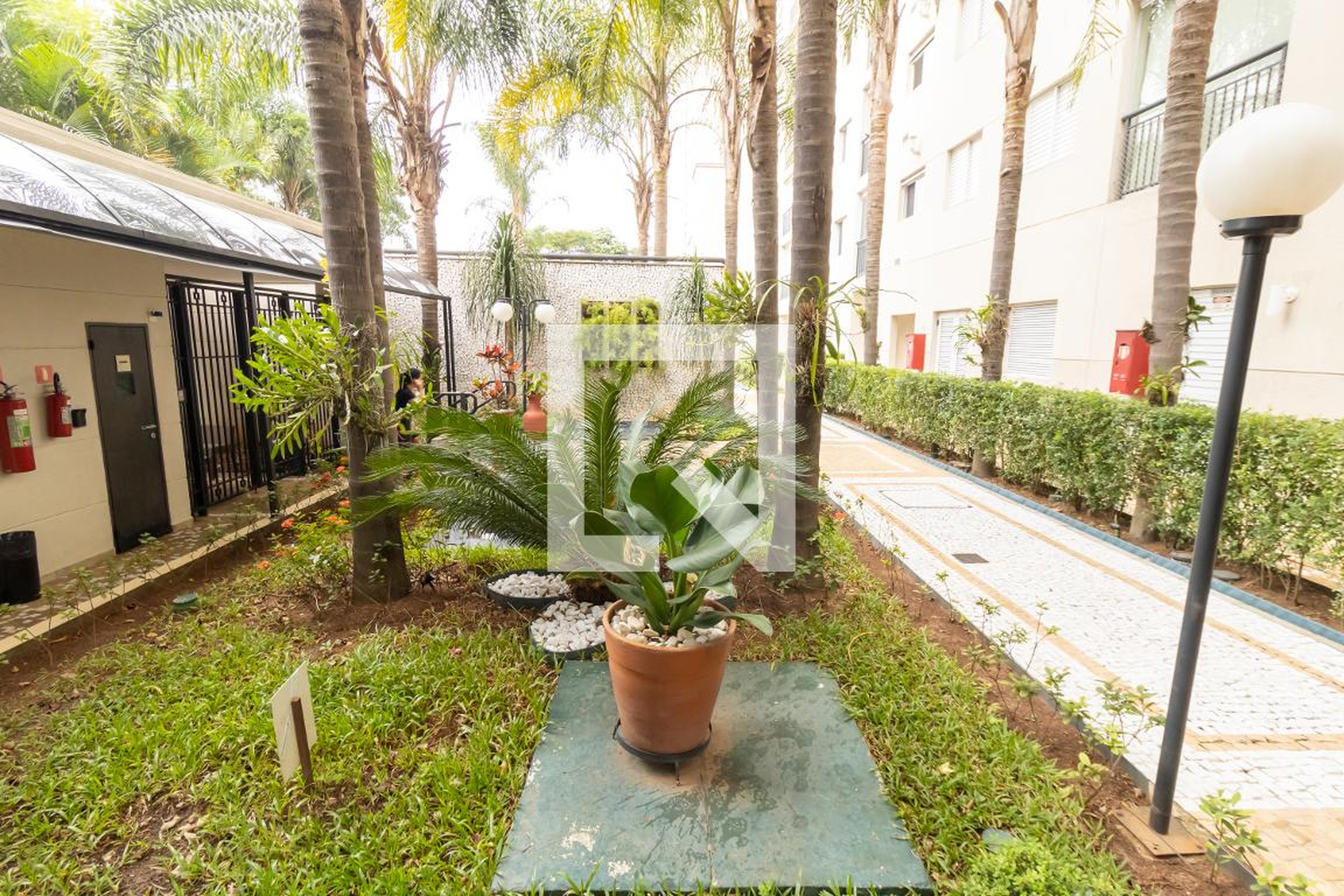 Entrada - Camino Tulipa