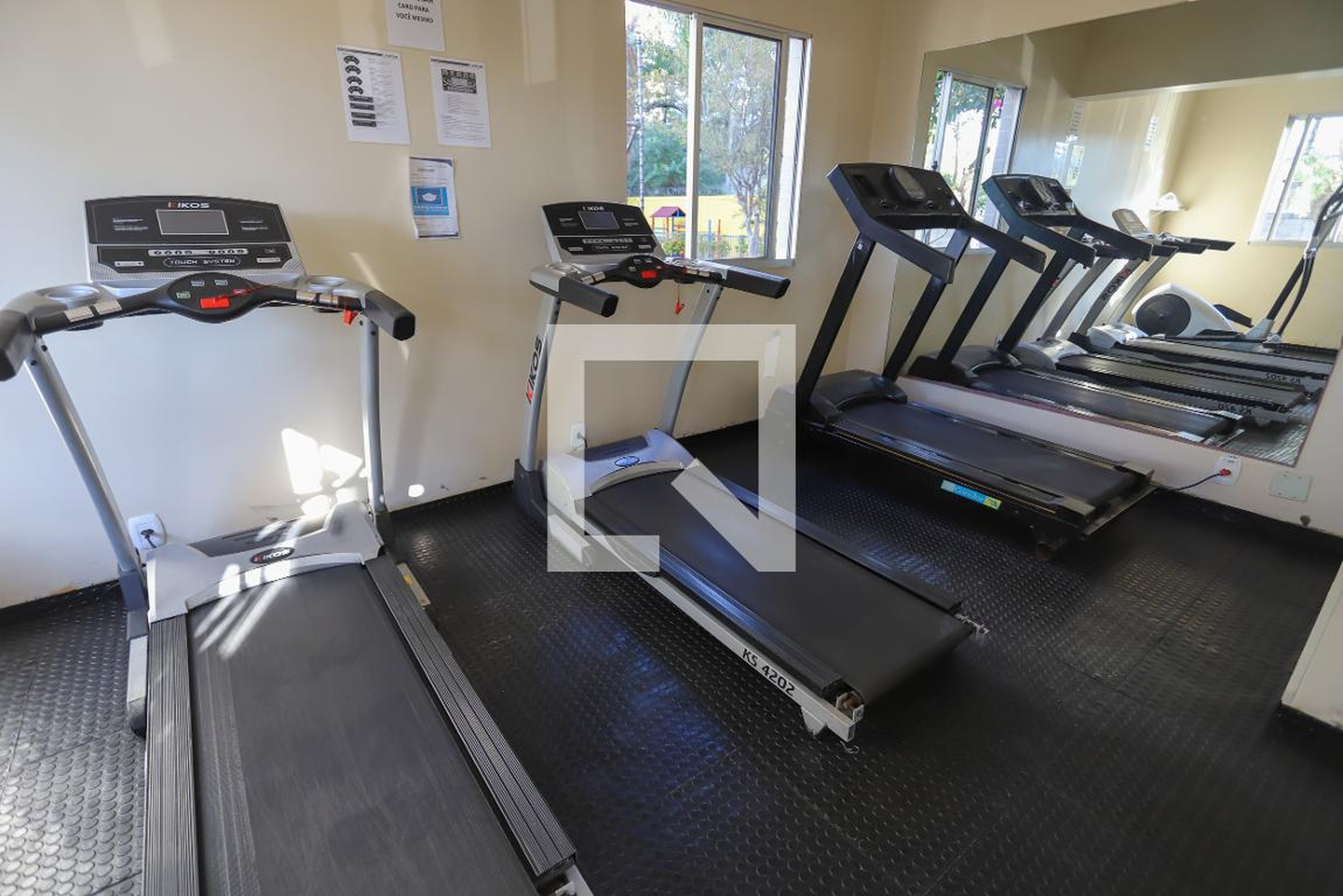 Academia - New Place