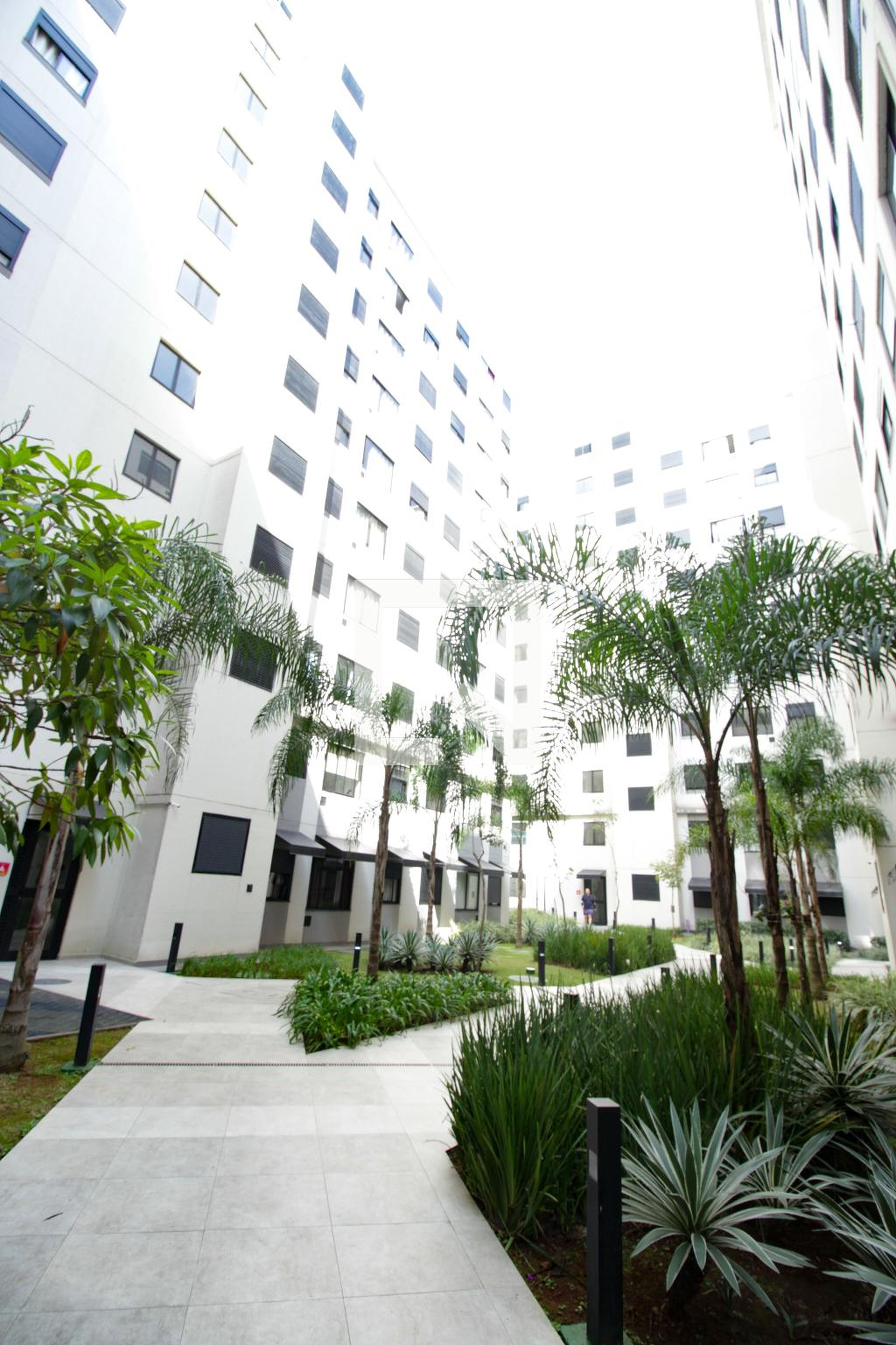 Fachada do Prédio Condomínio em Rua Galeno de Castro, 739