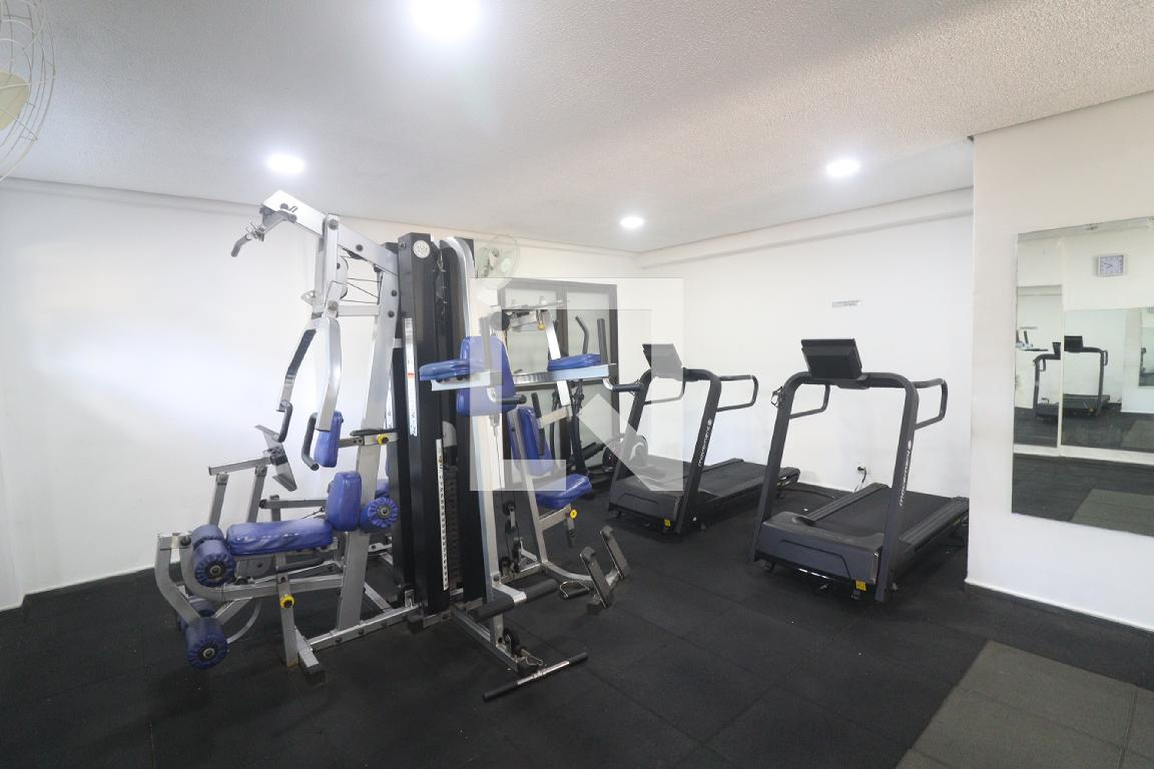 Academia - Centauros