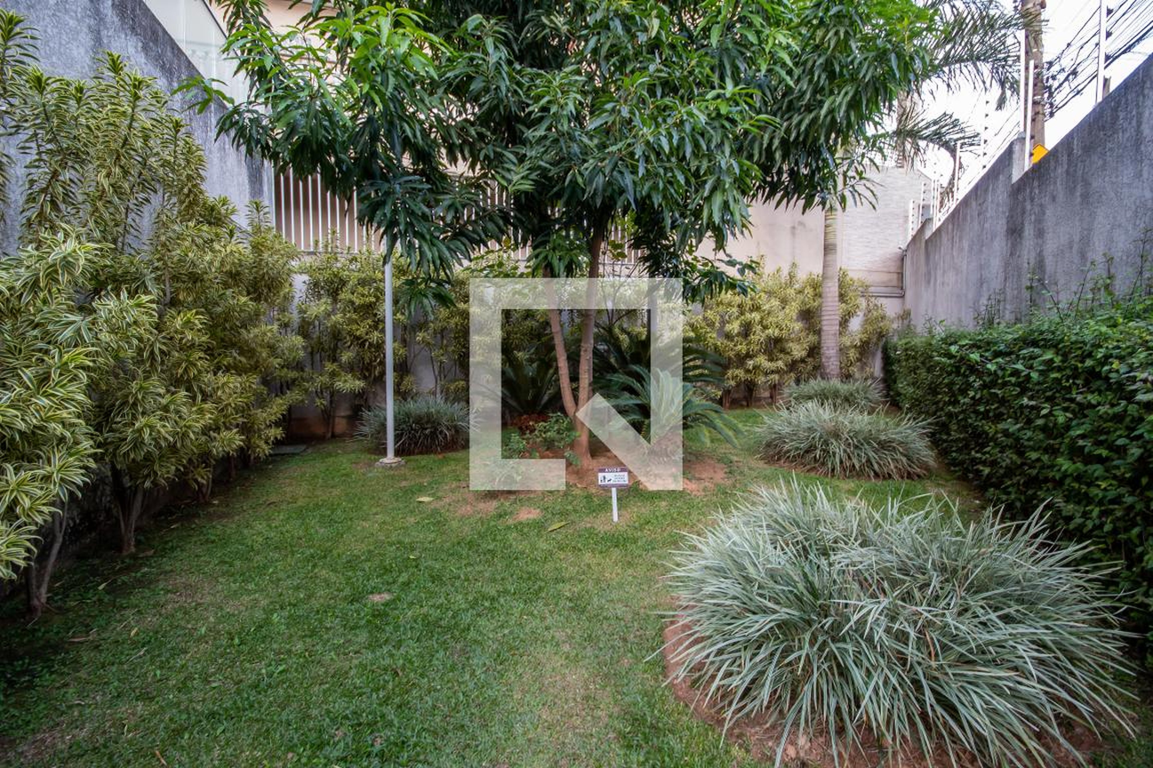 Espaço Pet - Anunciatta DLúcia