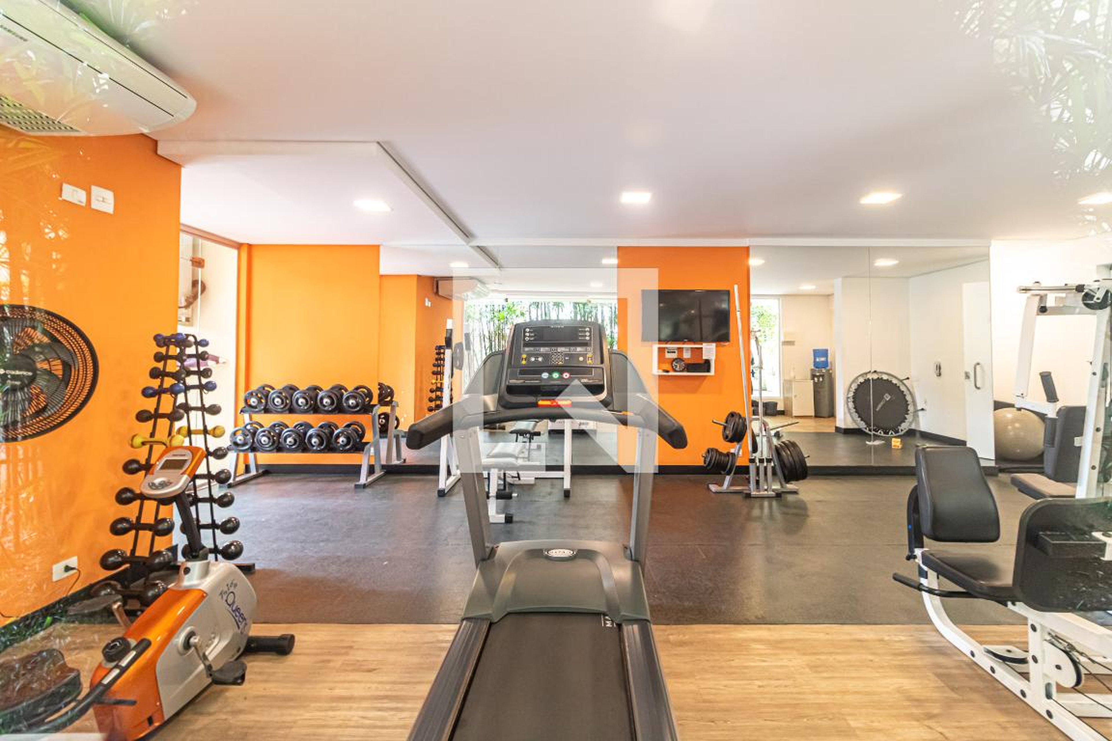 Academia - Perdizes New Life