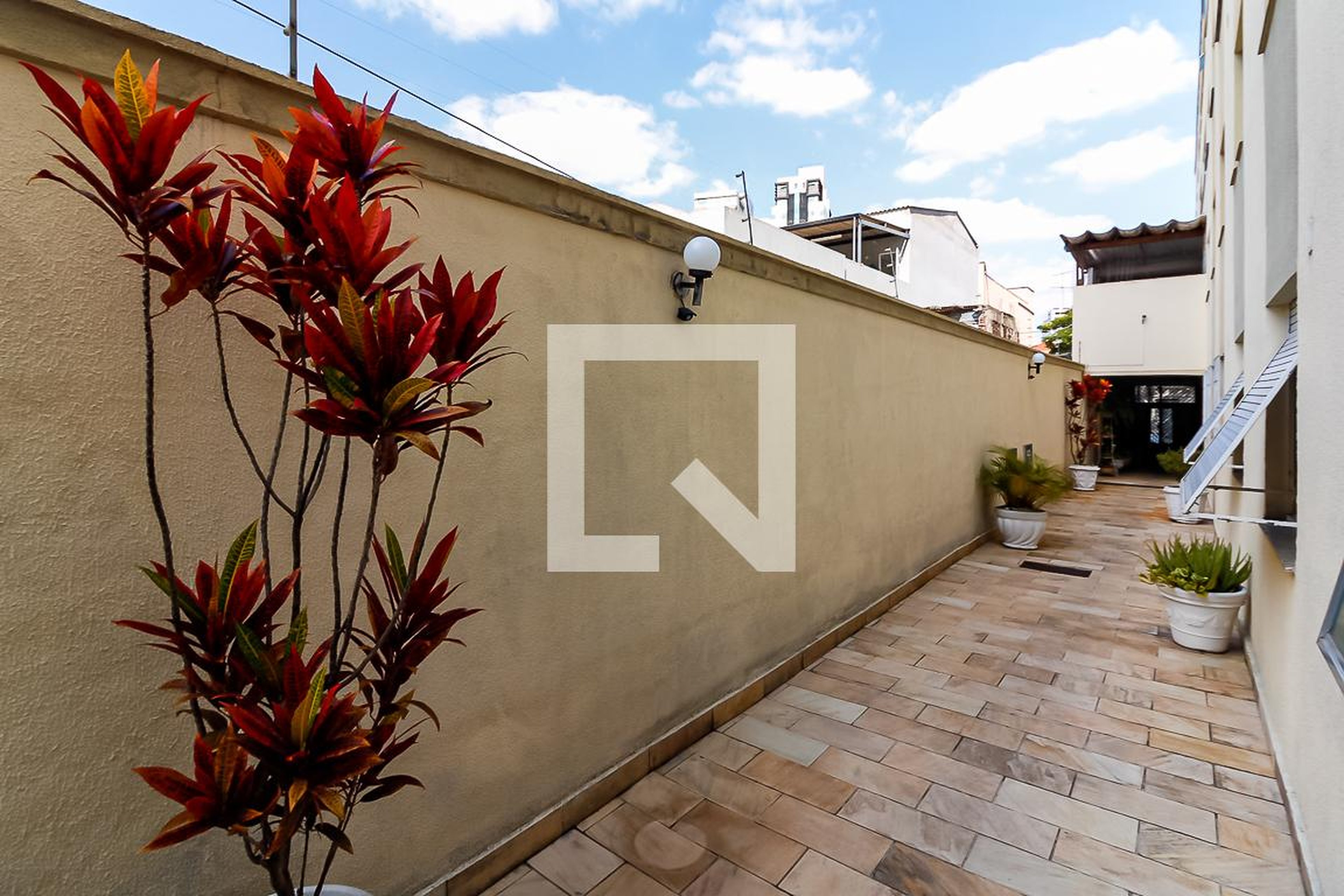 Área externa - Craueiros