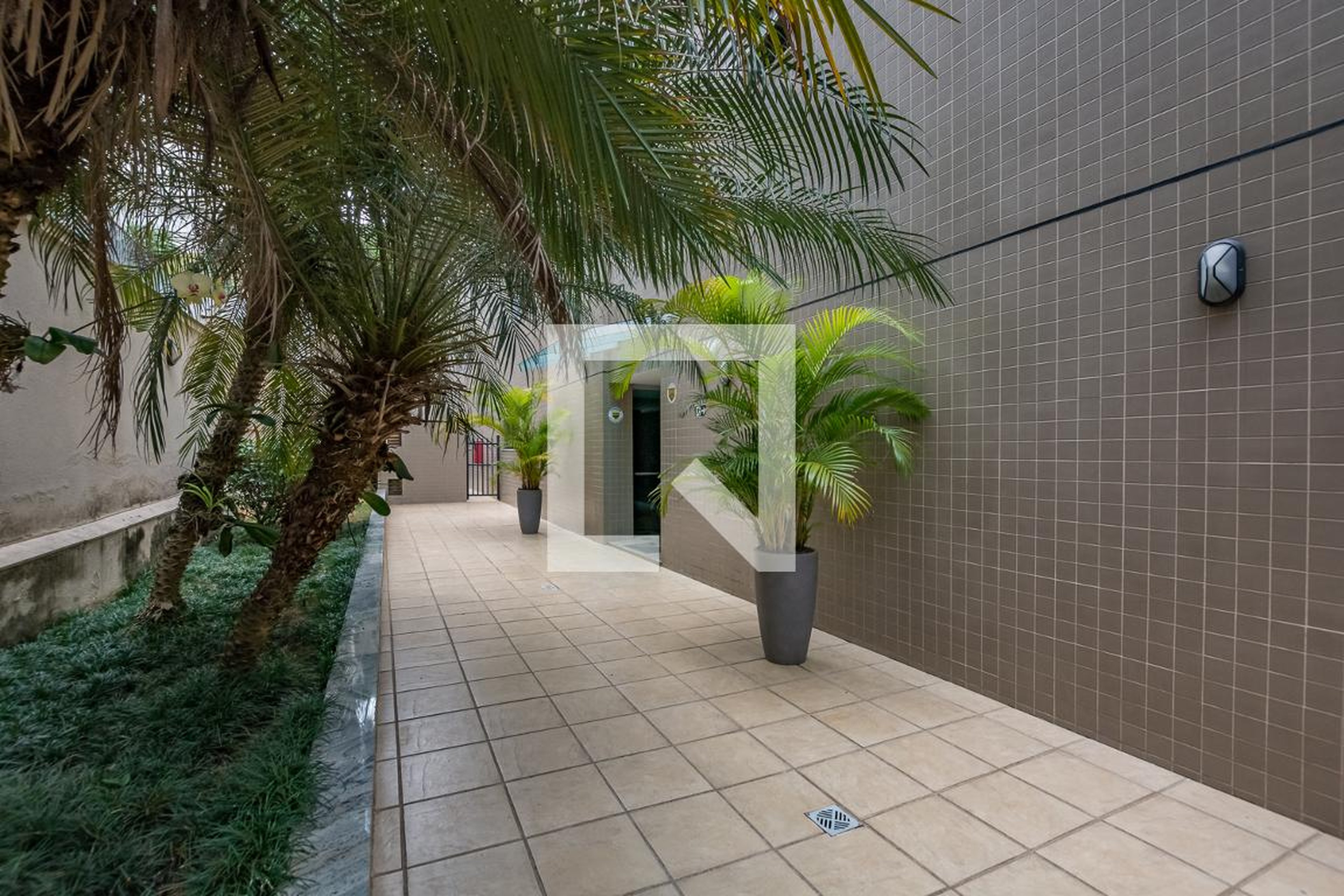Entrada - 