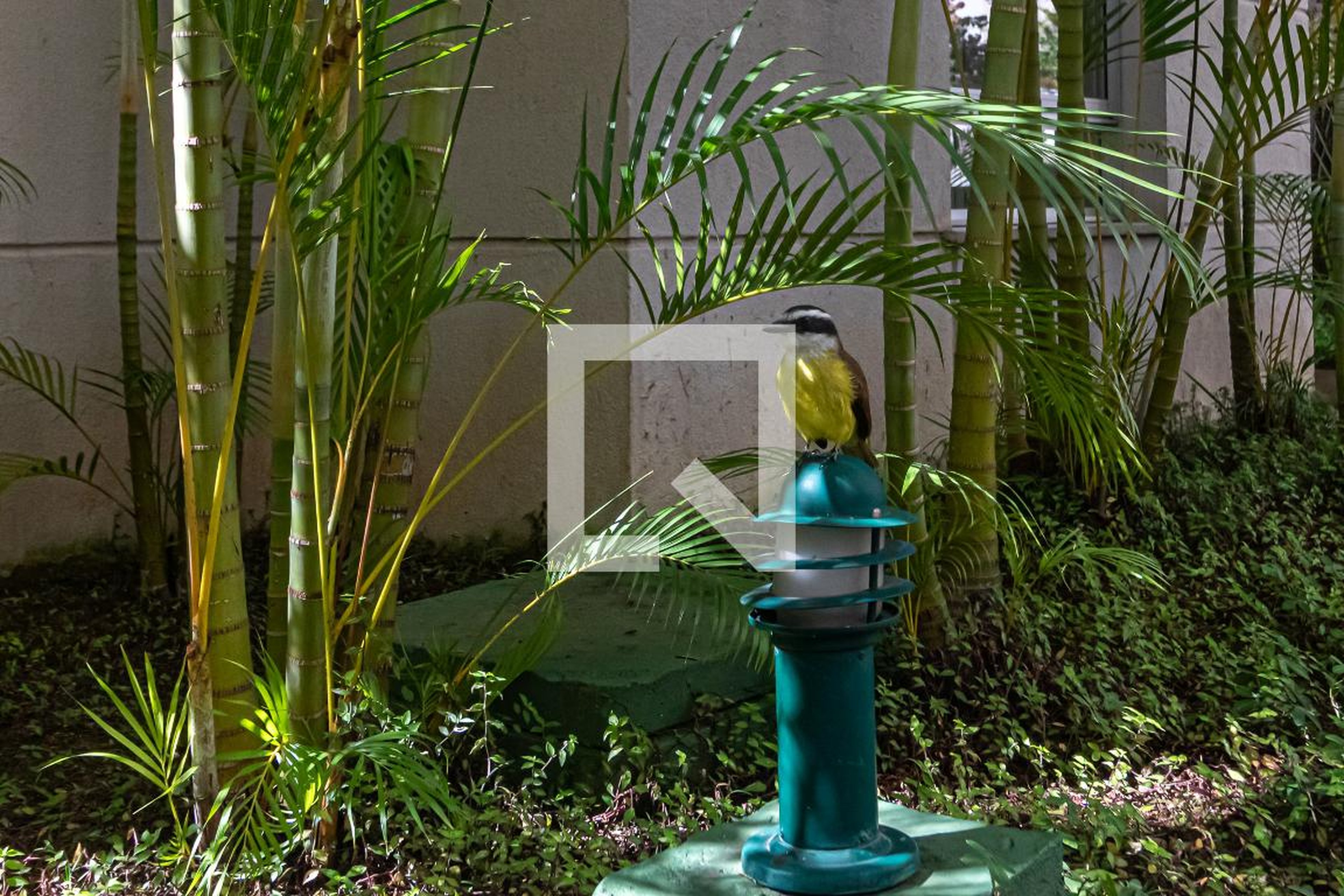 Área externa - Liverpool Alto da Lapa