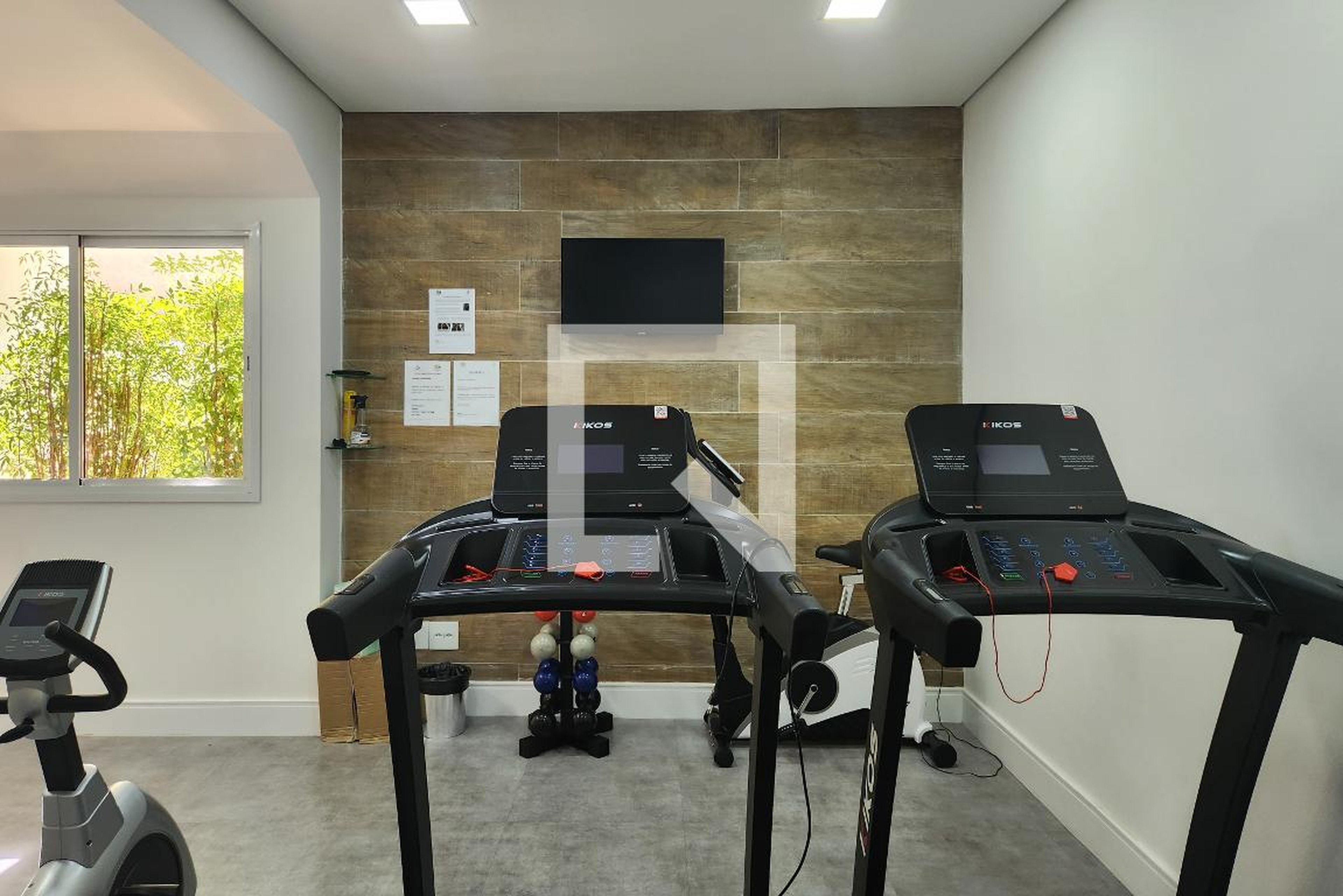 Academia - Piazza Navona