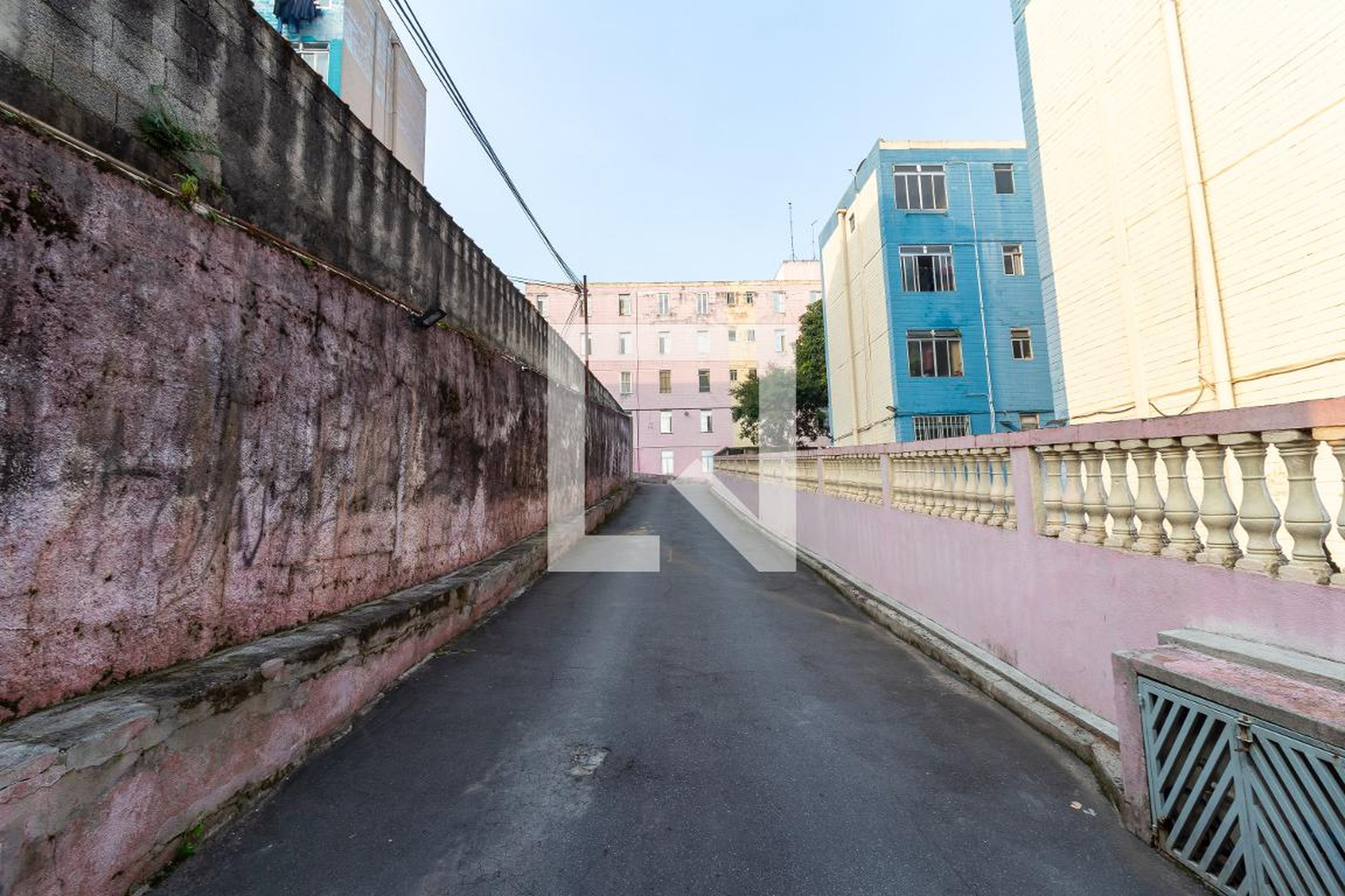 Entrada - Crisântemos 3