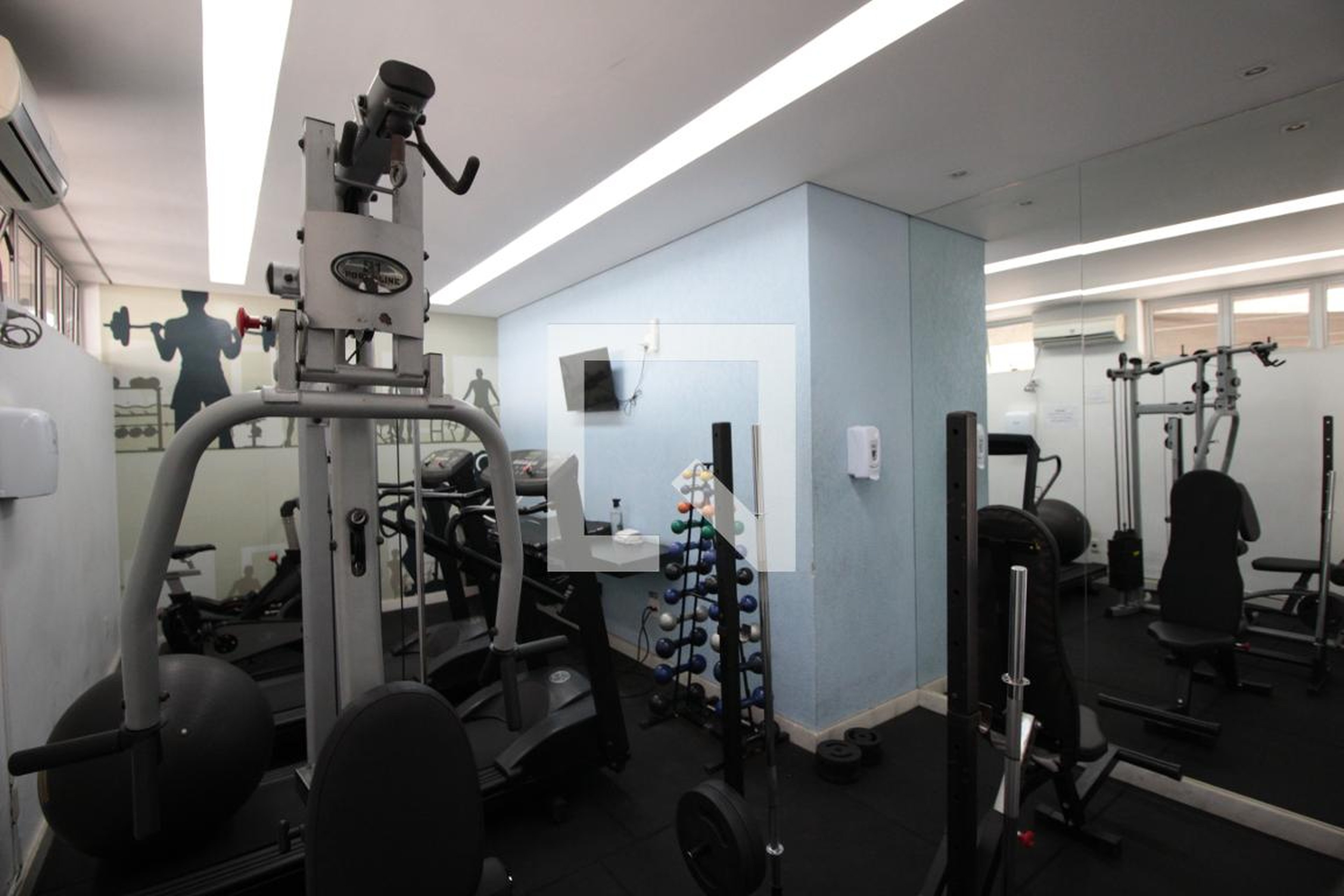 Academia - Prediletto