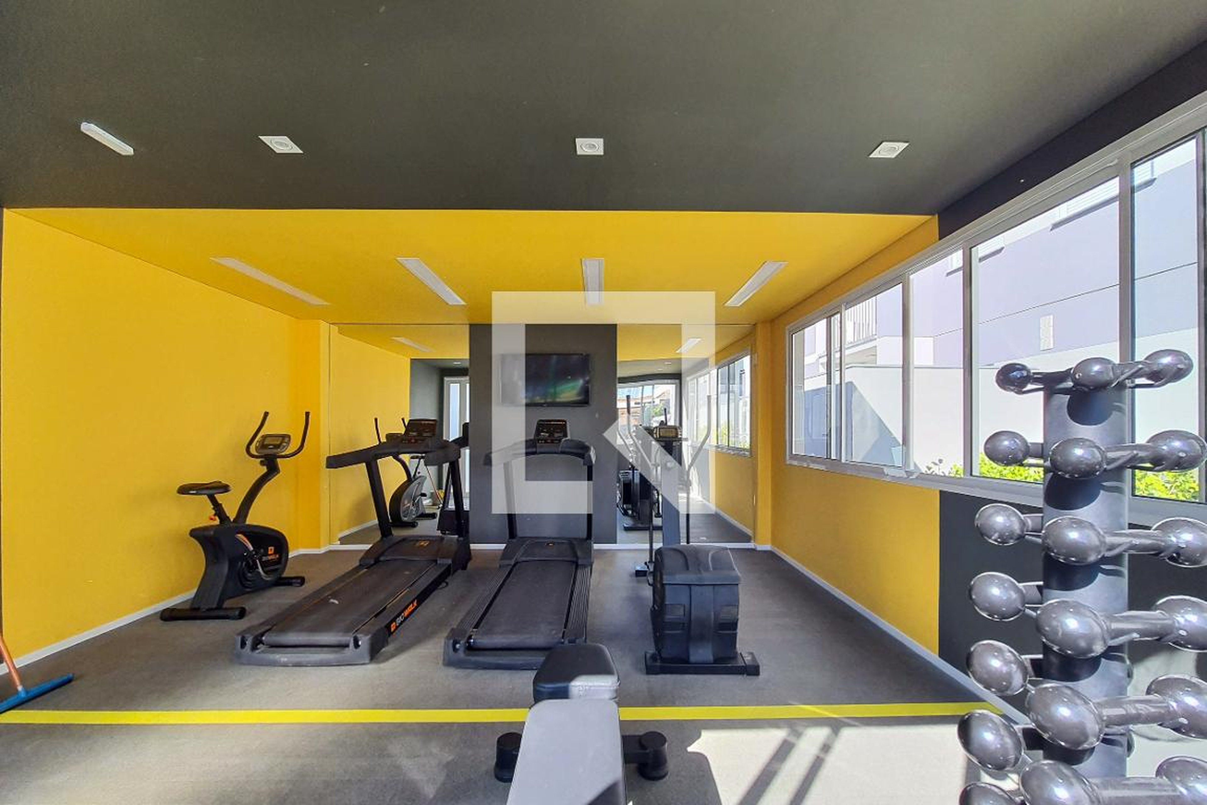 Academia - Vivaz Lapa