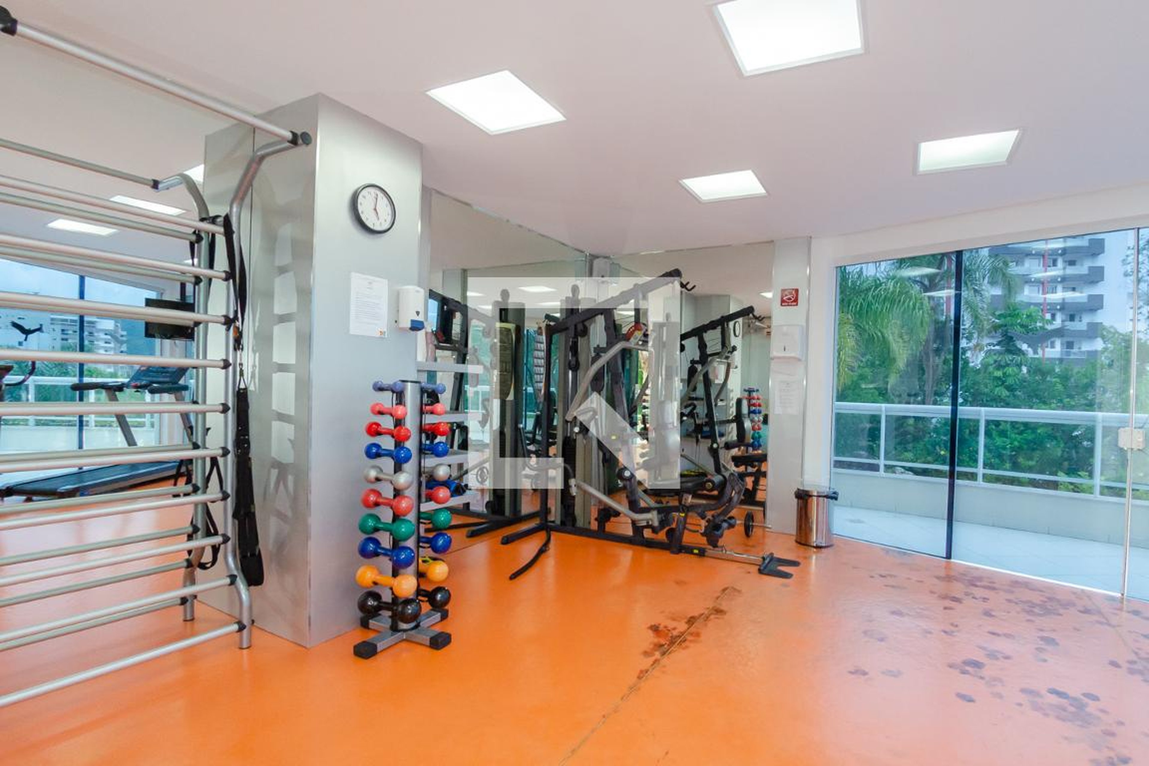 Academia - Zena Becker