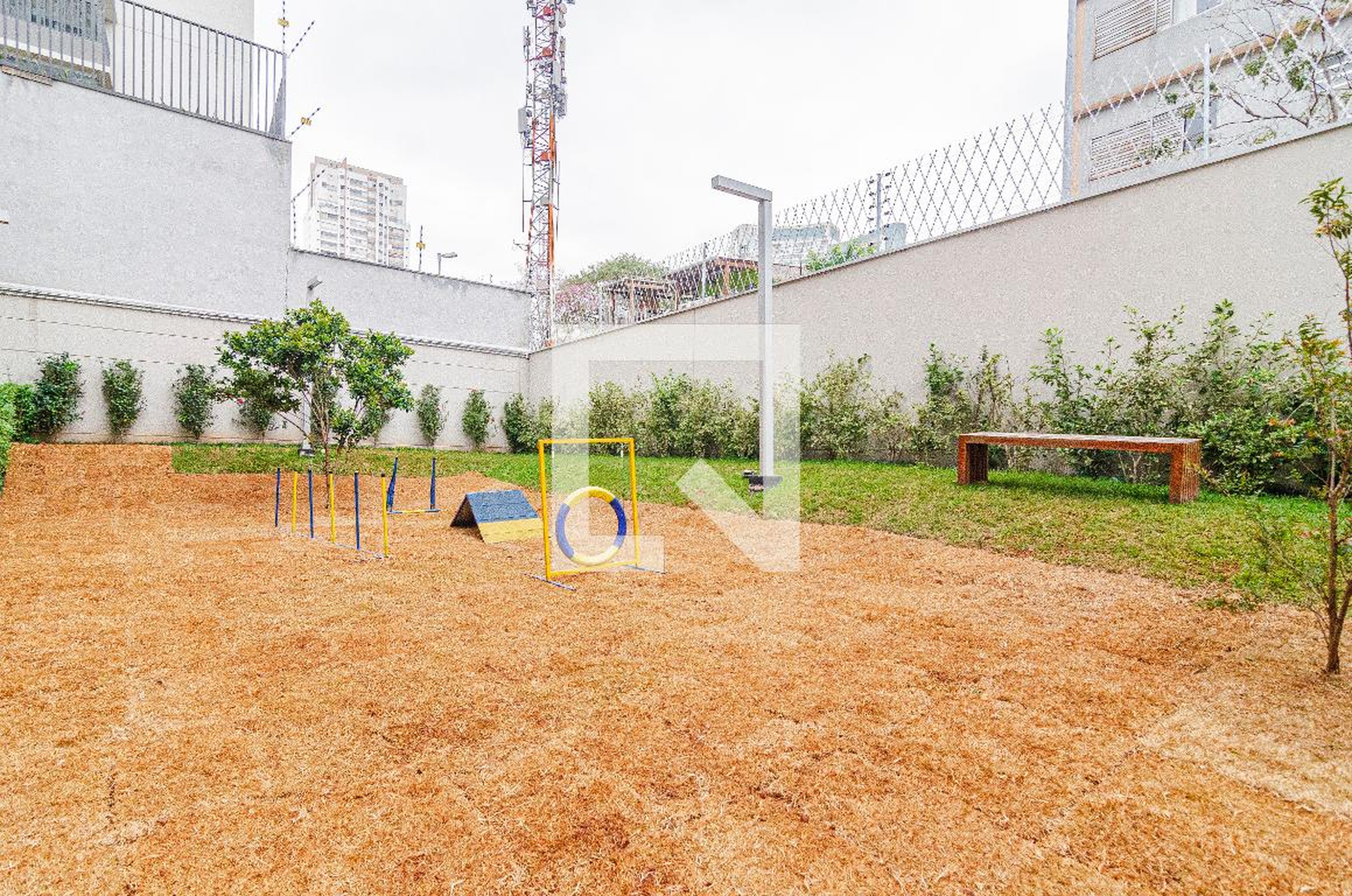 Espaço pet - Retrato Pinheiros