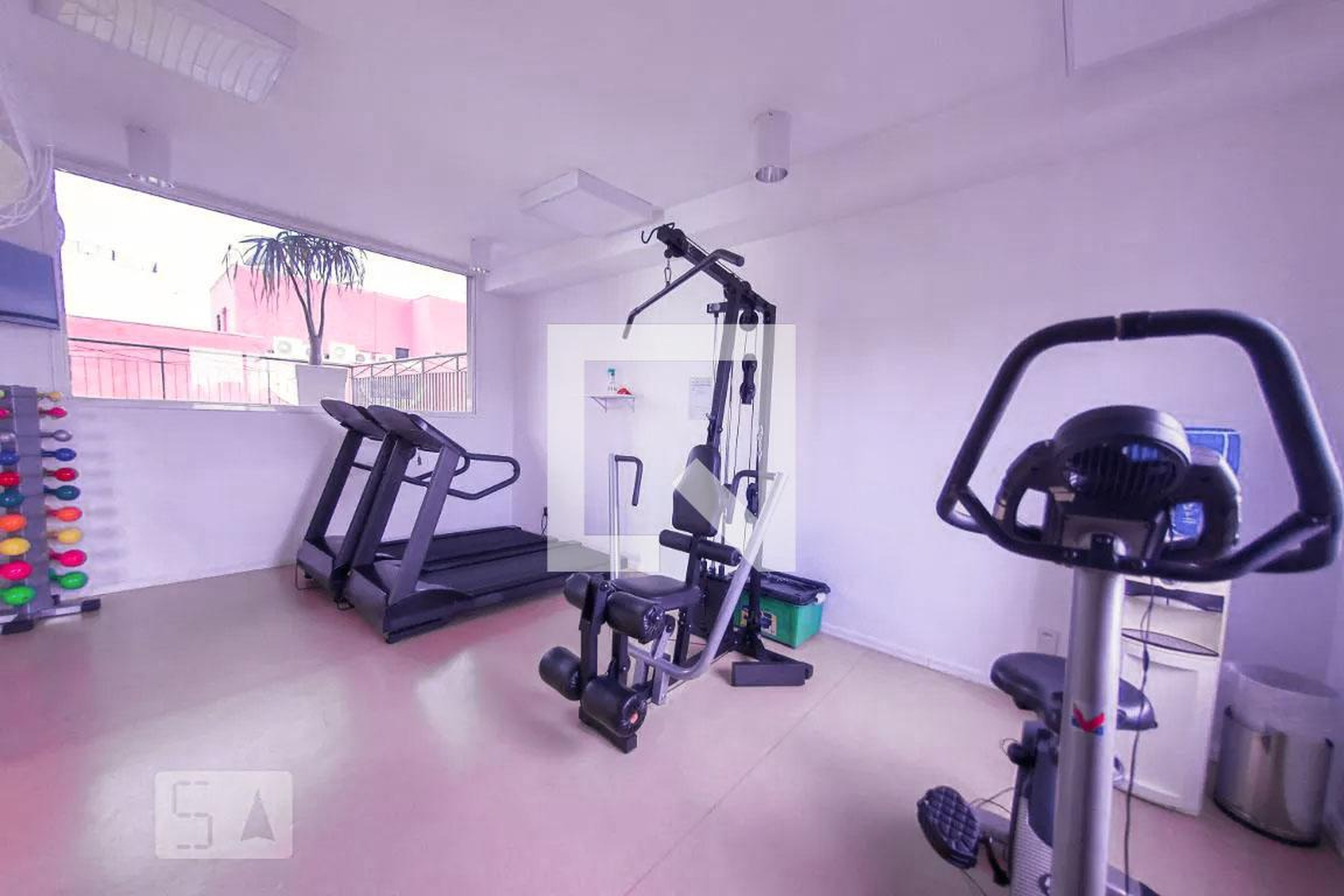 Academia - Lindenberg Cosmopolitan