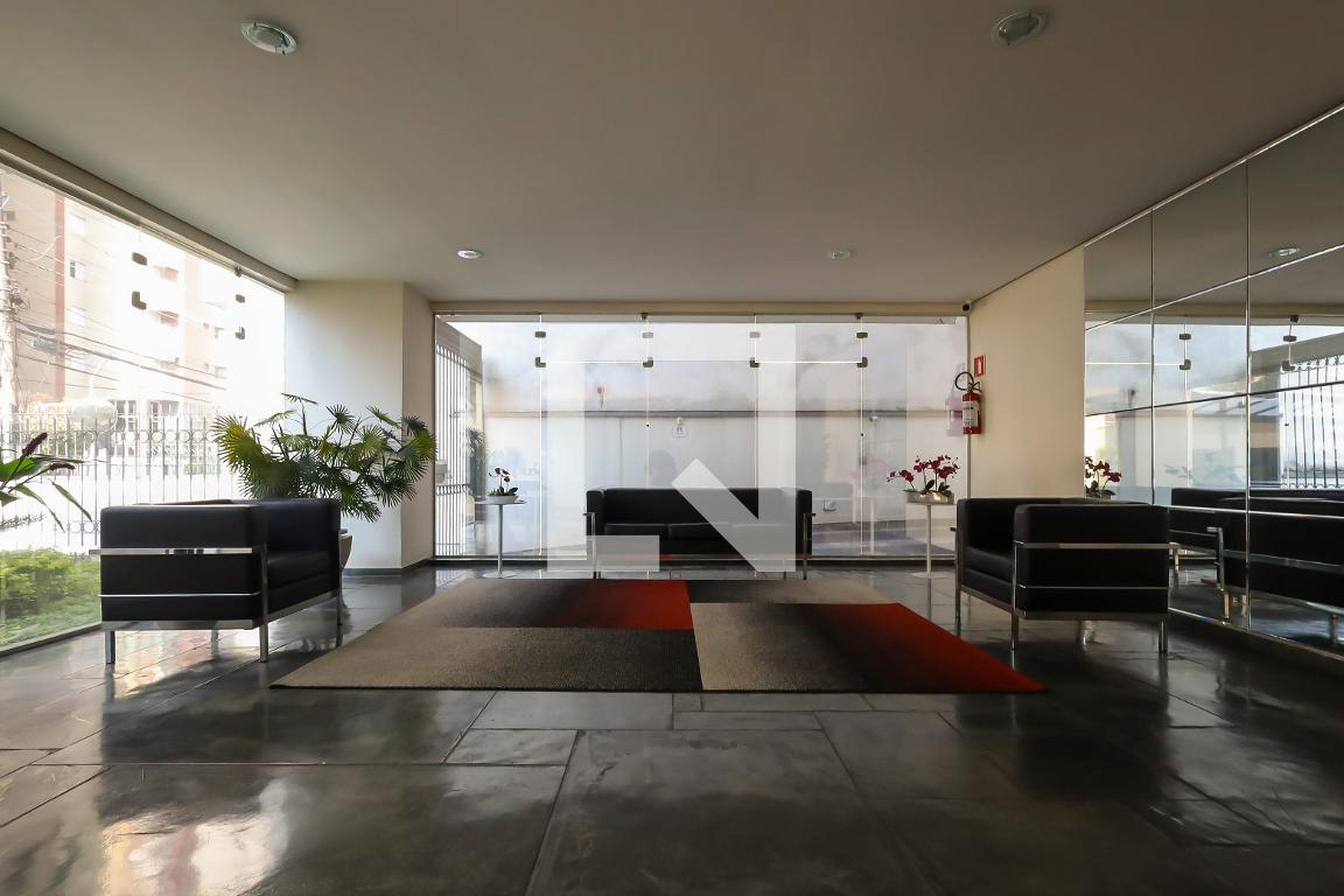 Hall social - Betula