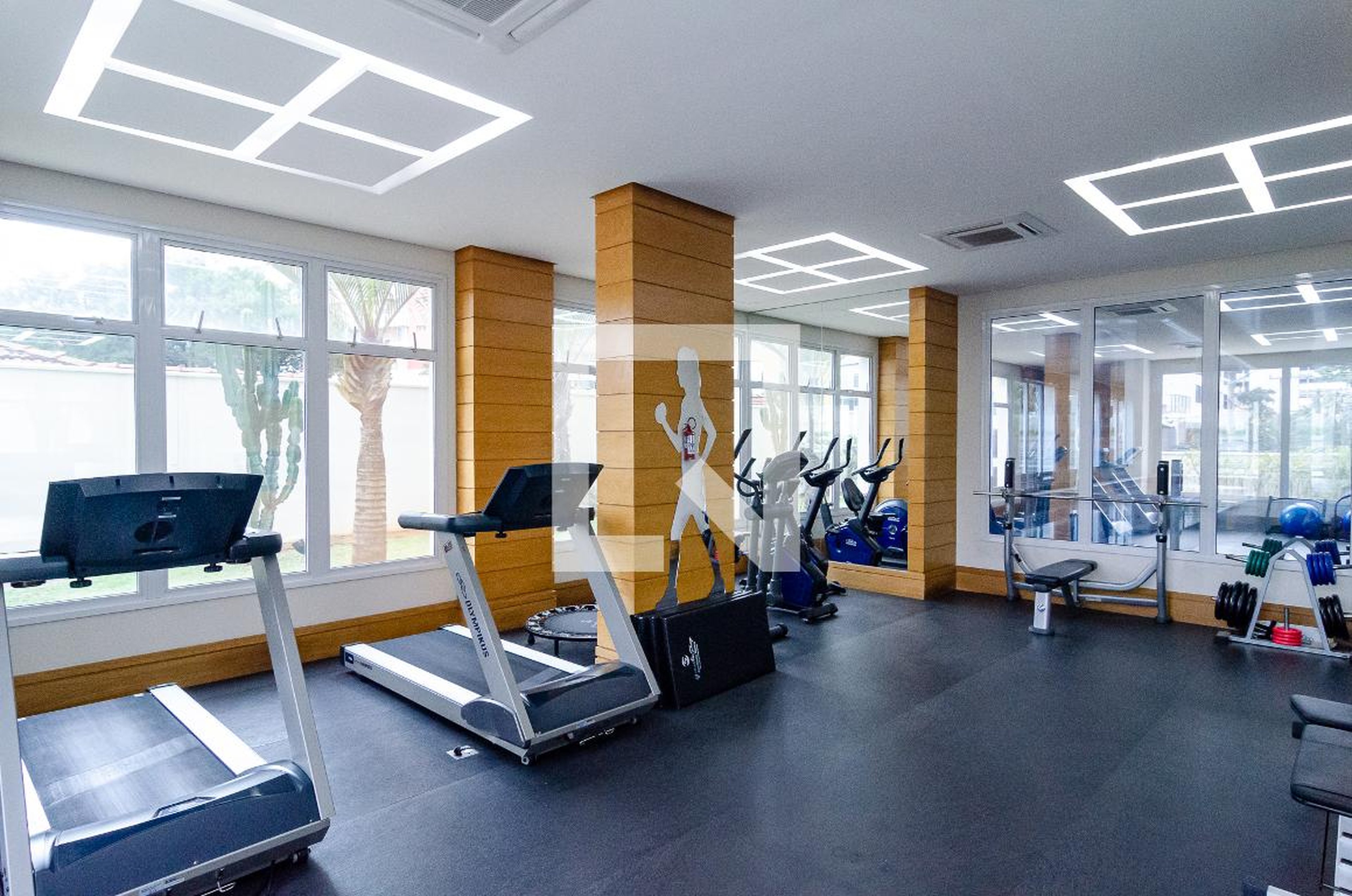 Academia - Modern Life Mariana