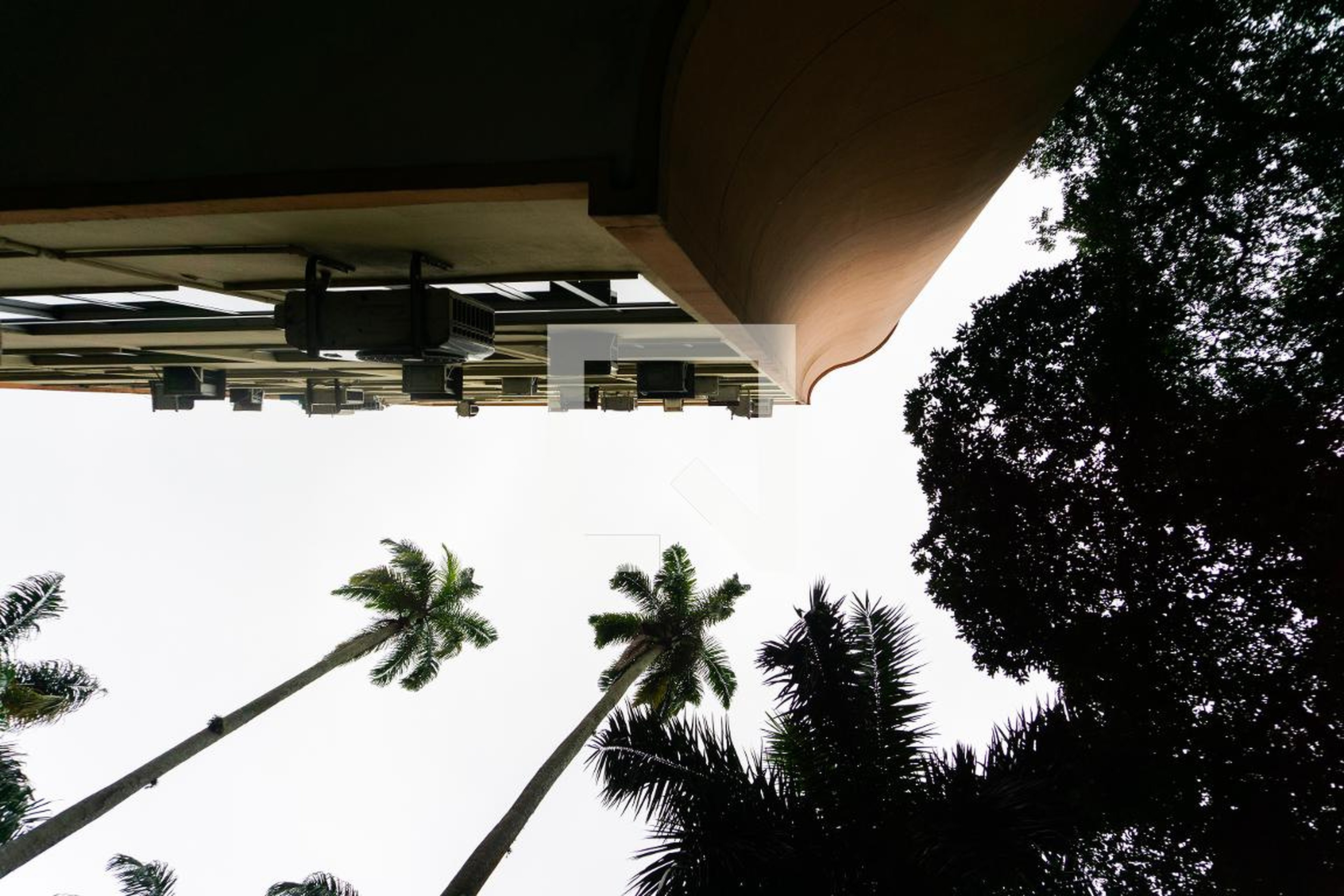 Área comum - Coelho Netto