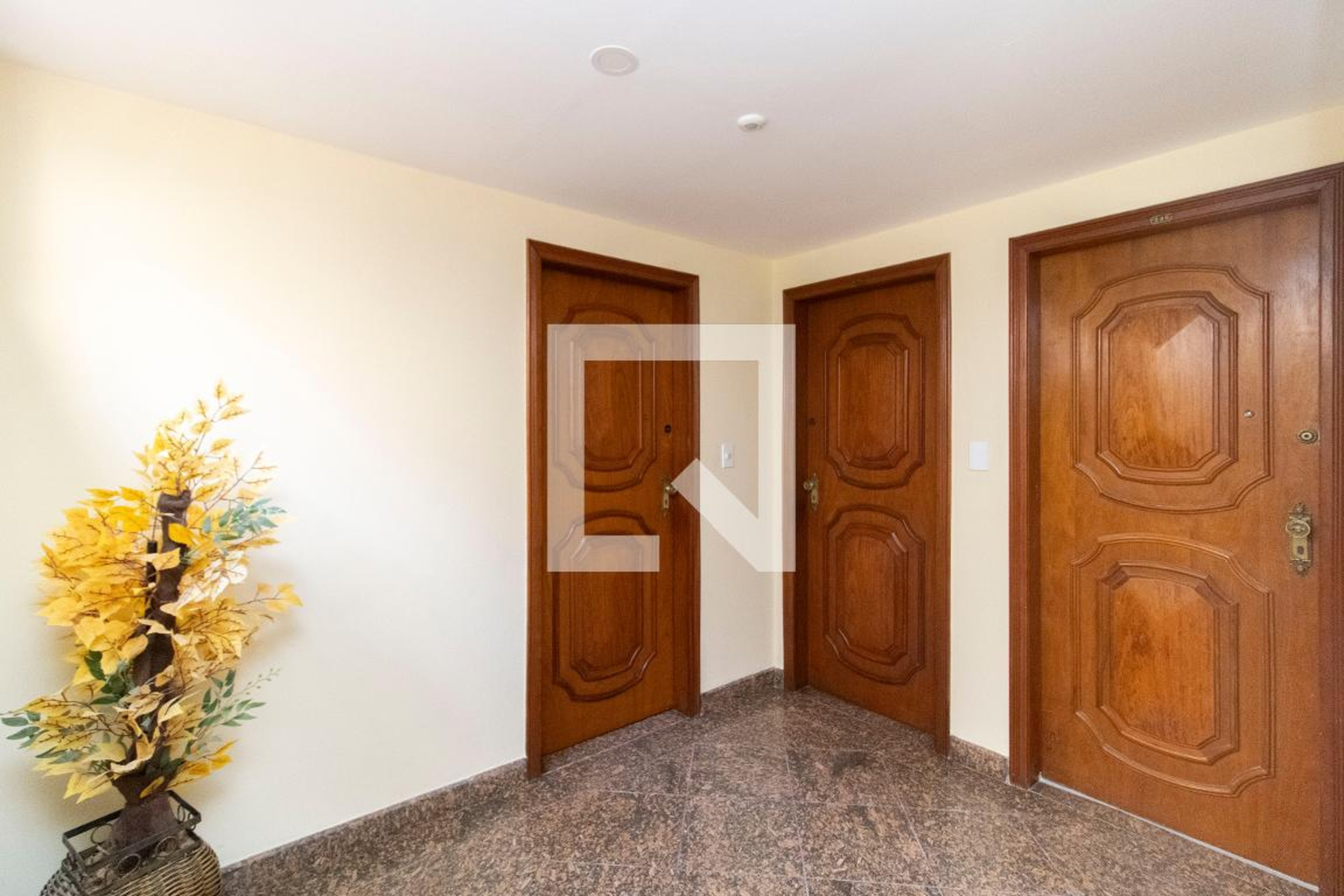 Entrada - Grão de Areia