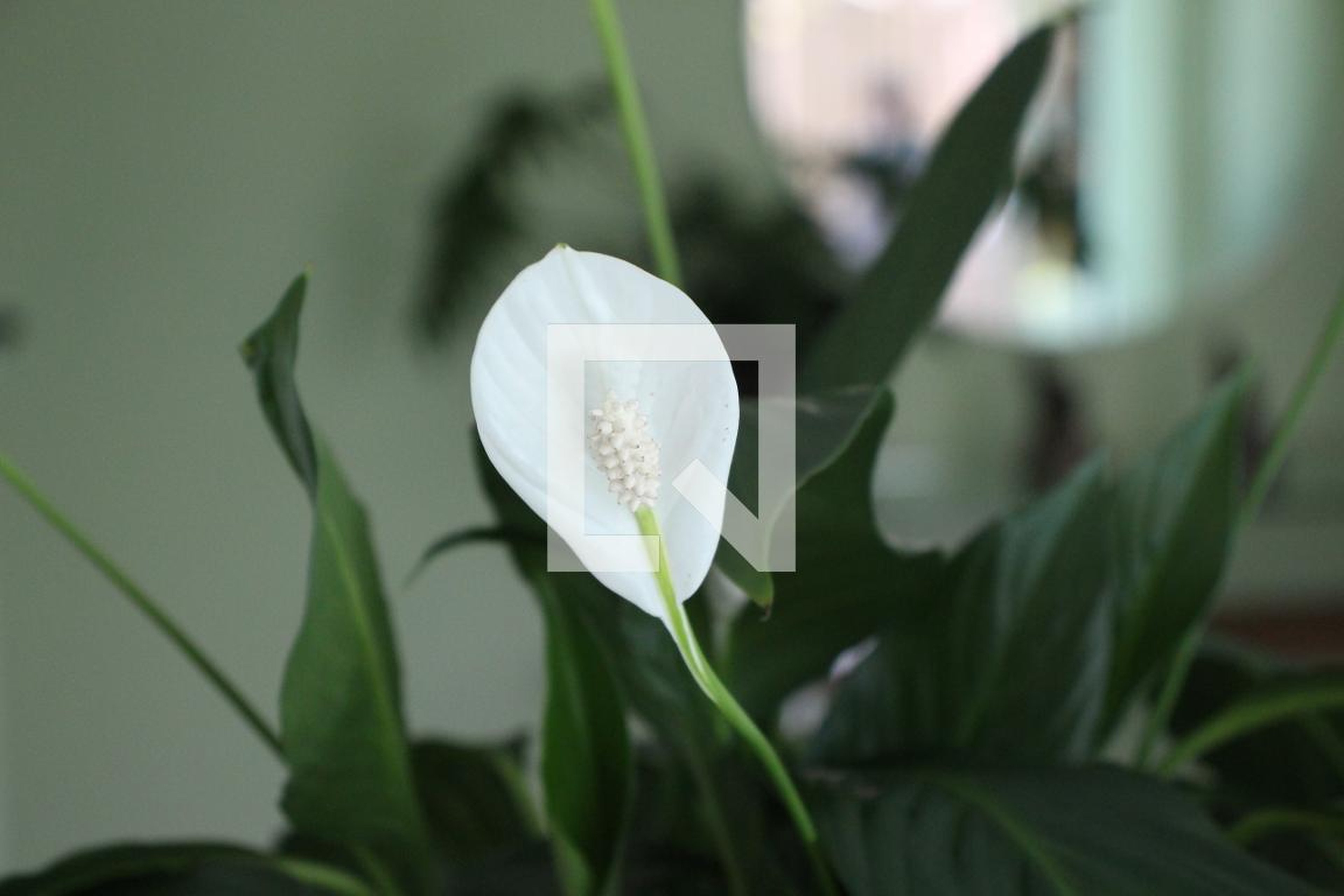 Hall - Edifício Mont Blanc