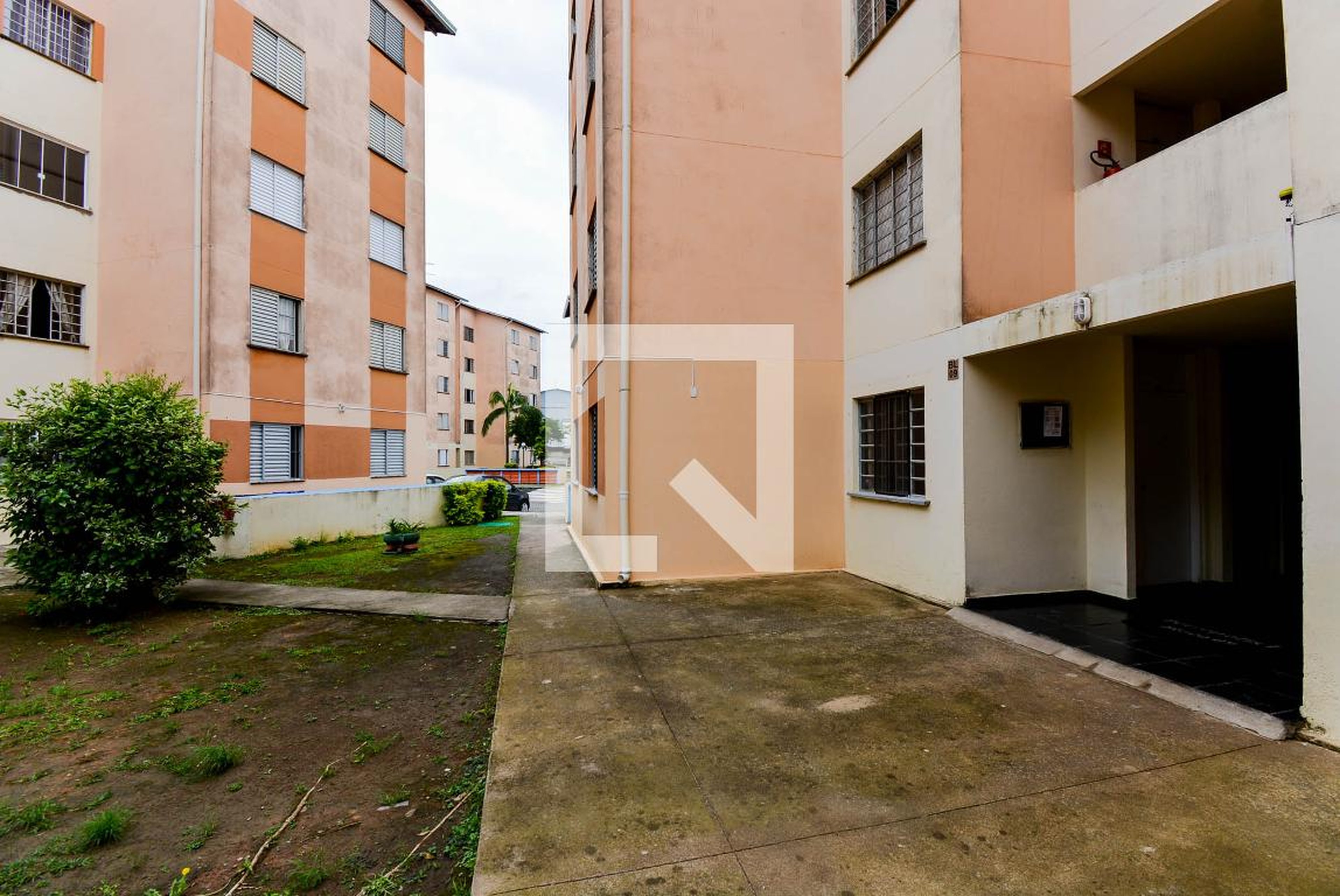 Entrada Social - Mister Glass