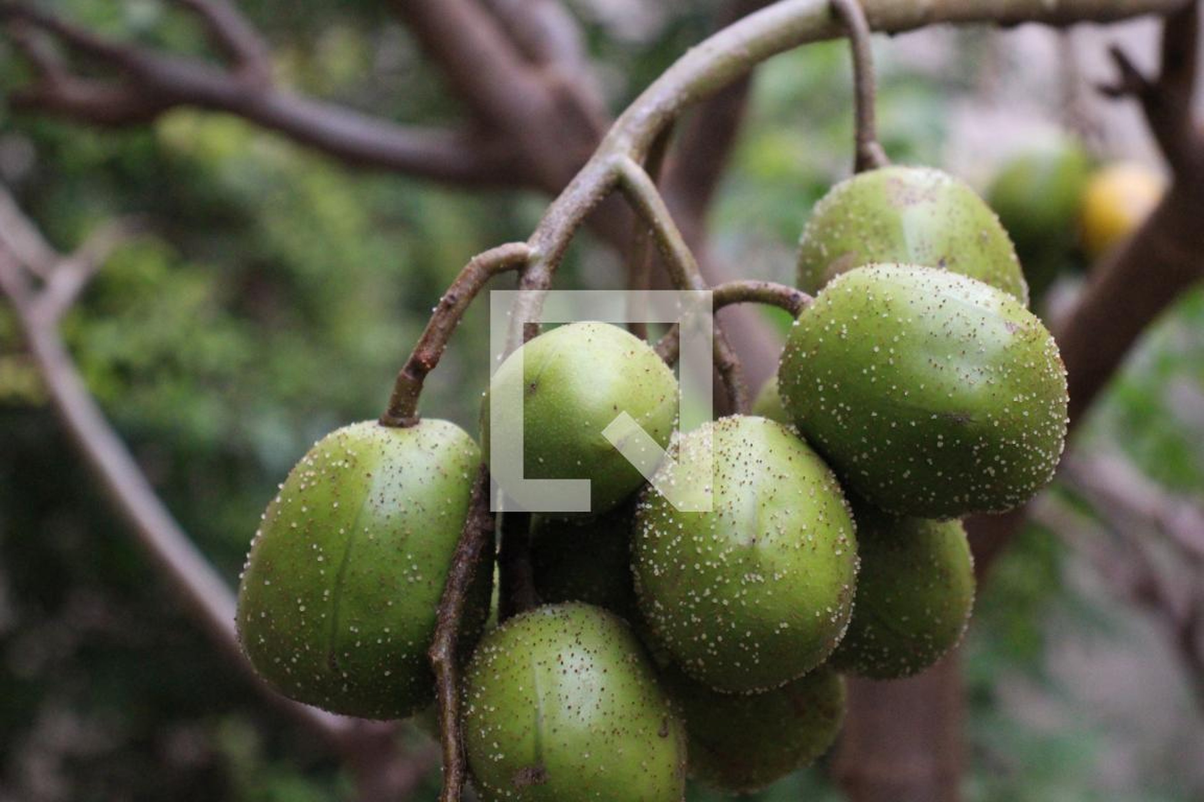 Área comum - Edifício Ana de Lourdes F. R