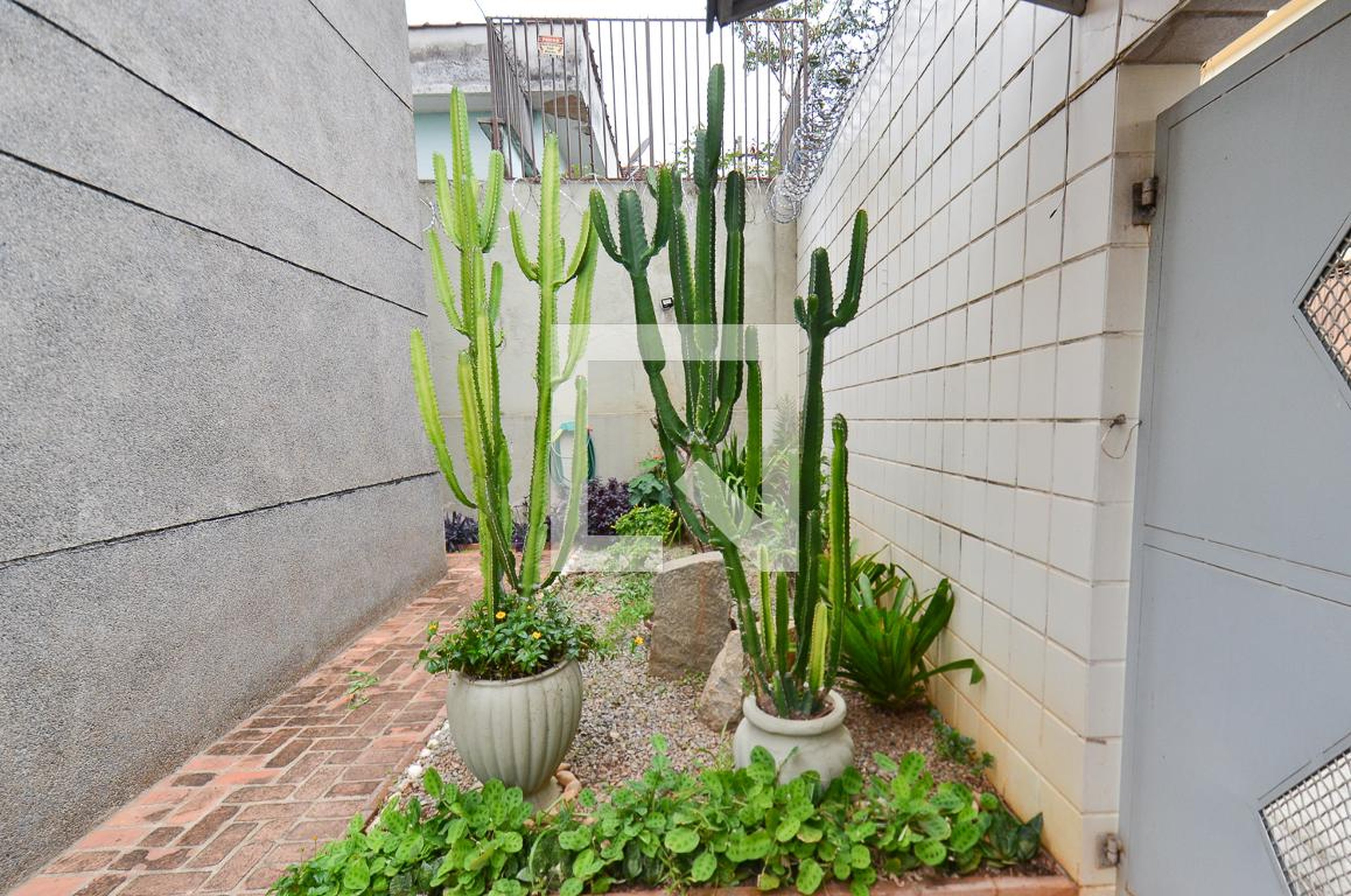 Entrada - Alda Mendonca