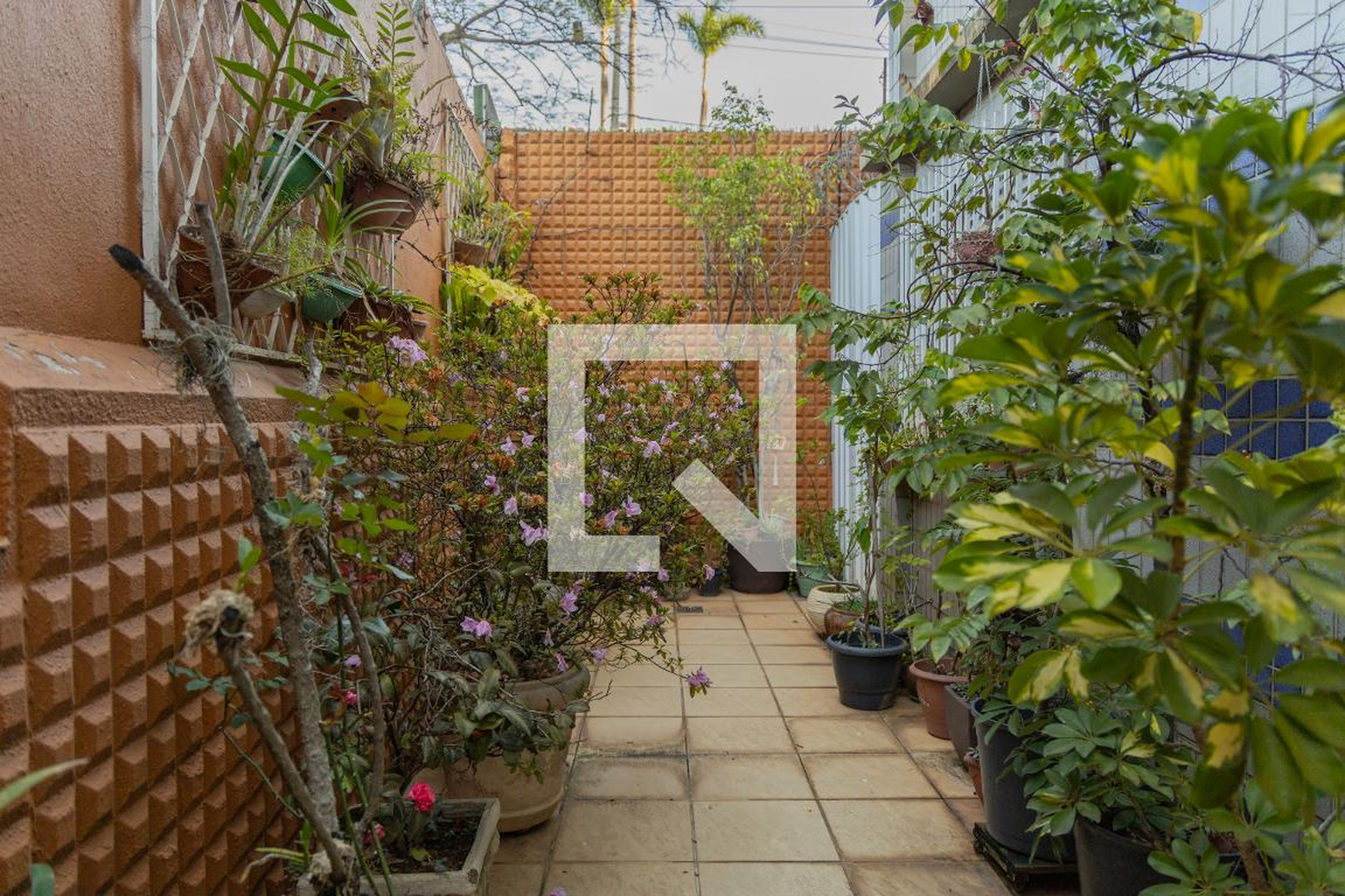 Área Externa - Edifício Cegede