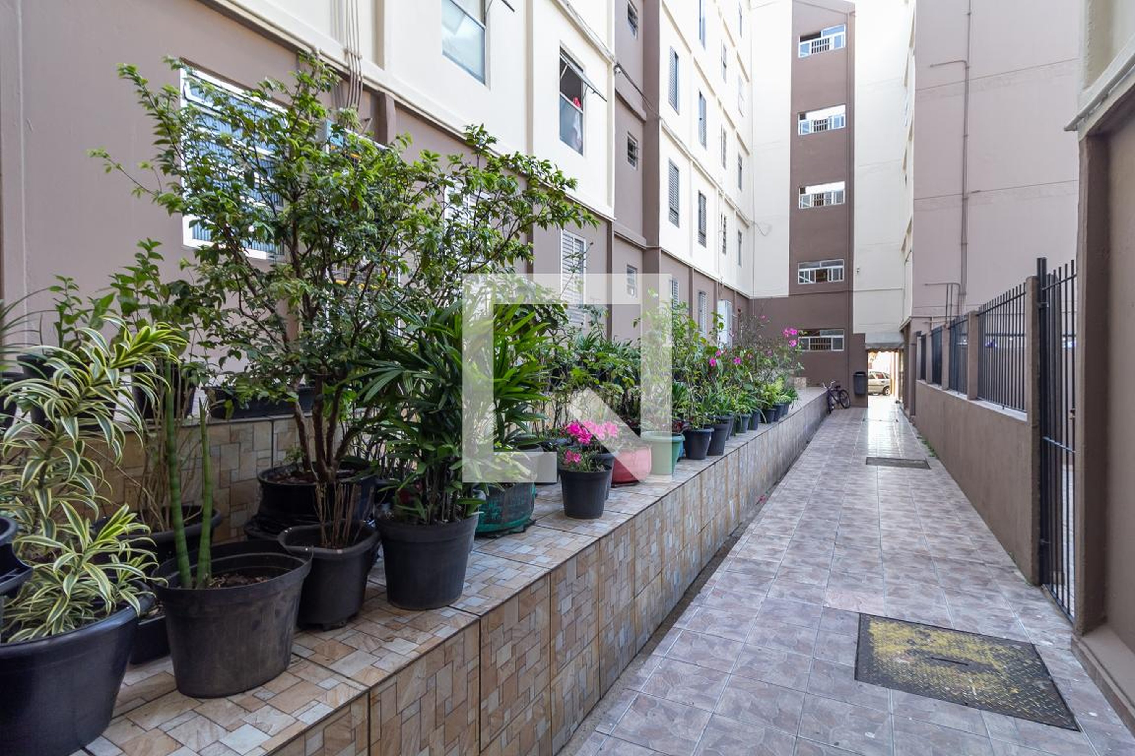 Área Externa - Alecrim I