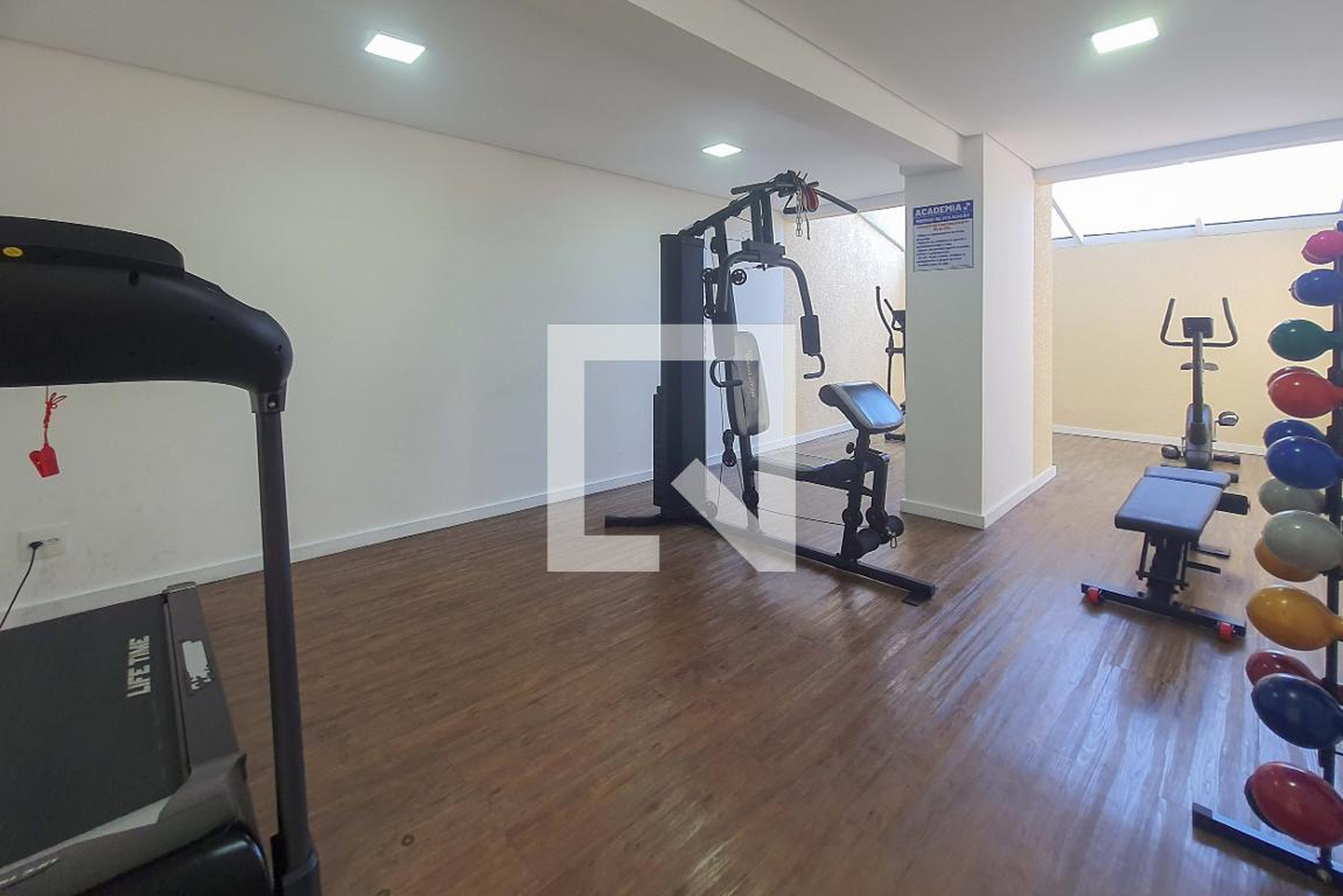 Academia - Essenziale