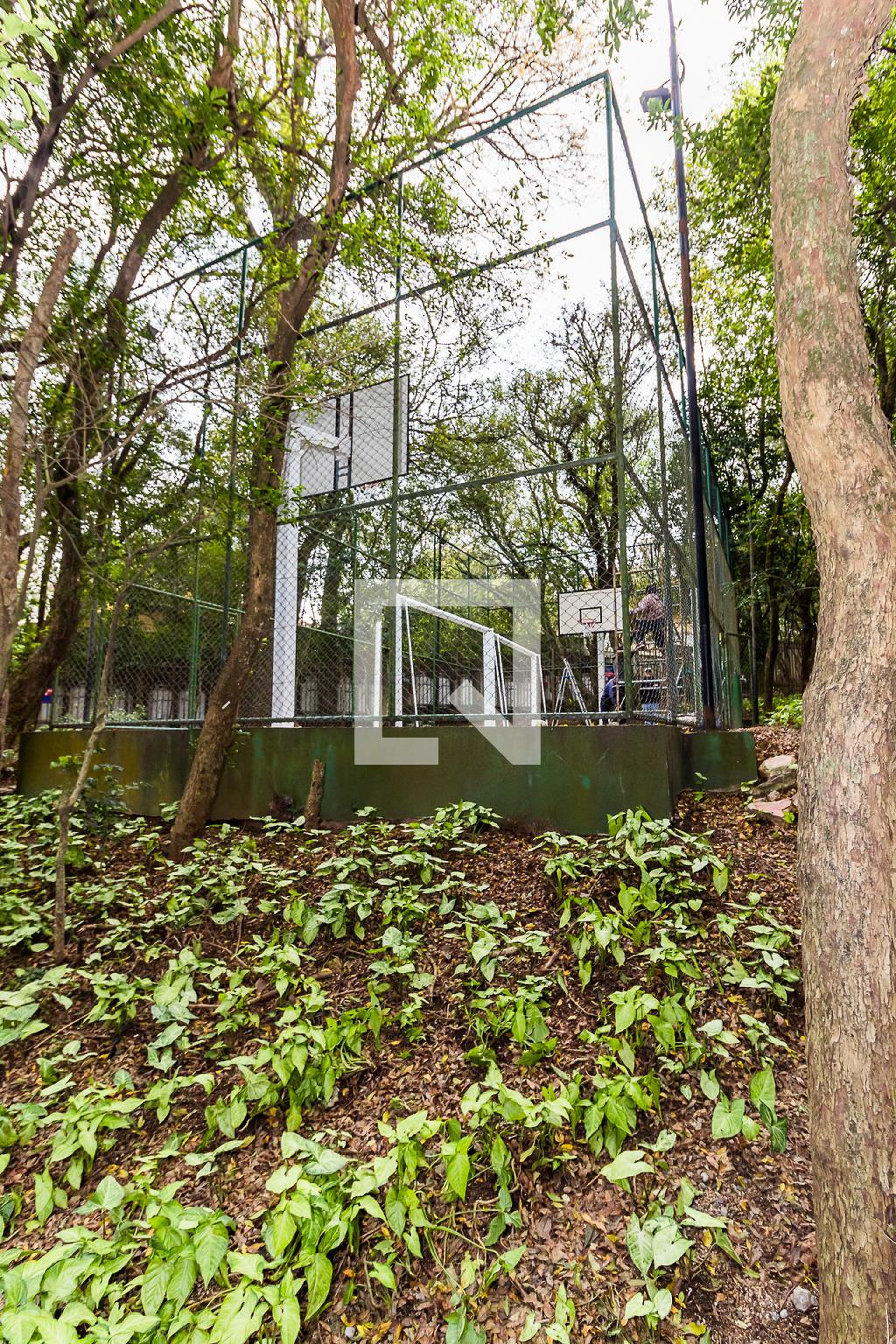 Quadra - Canto dos Pássaros