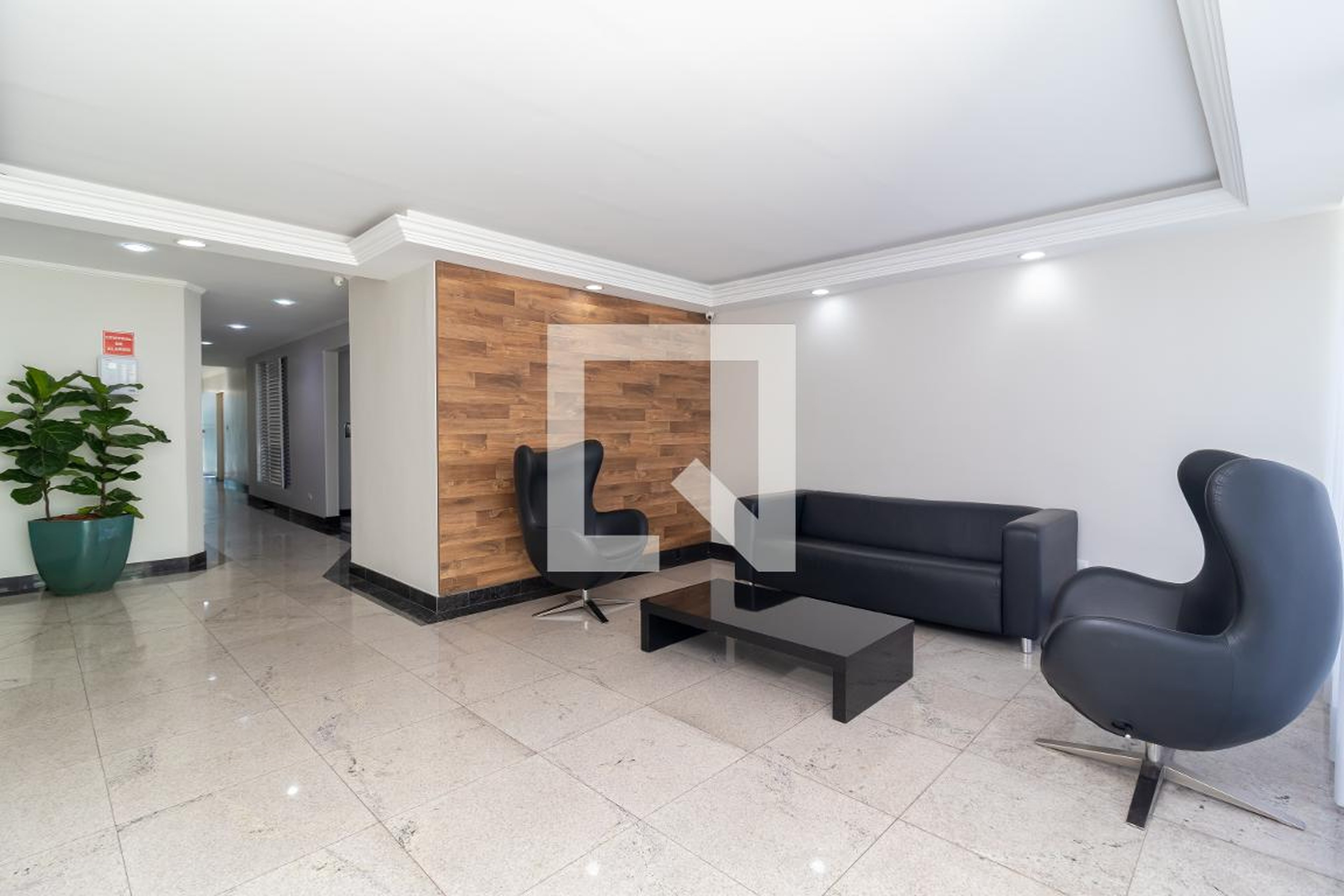 Hall Social - Camilla