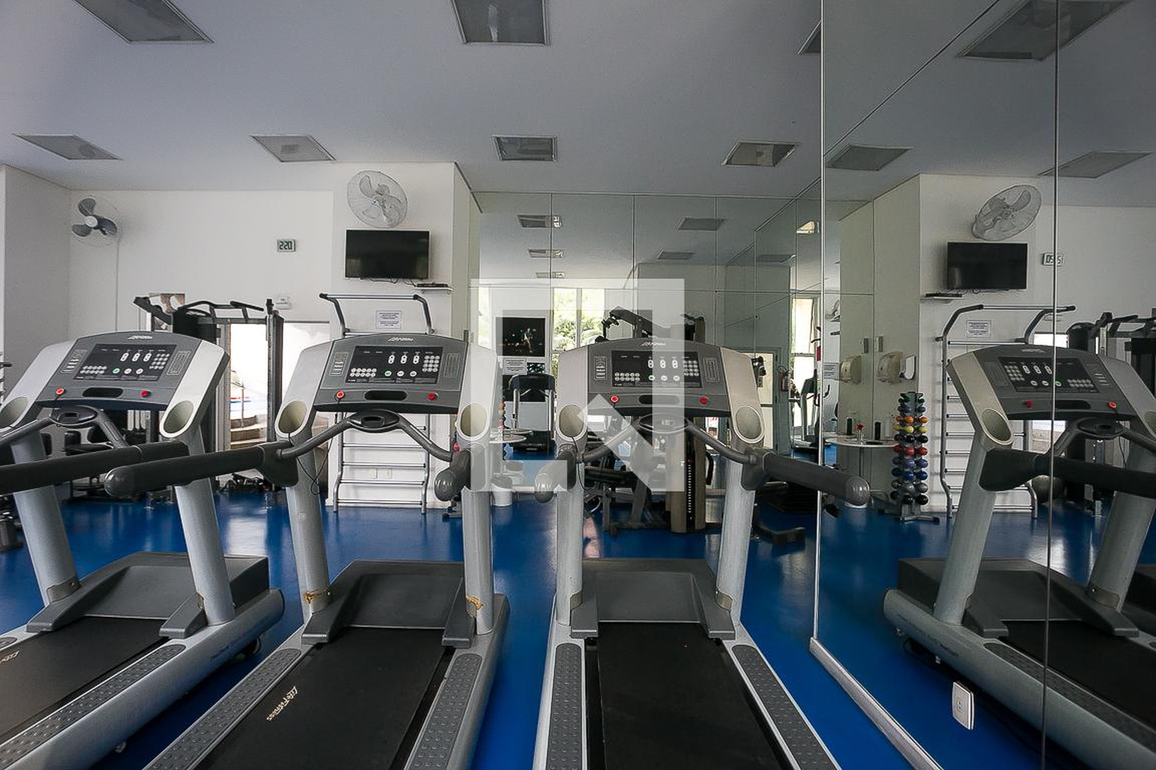 Academia - Plaza Monjardino