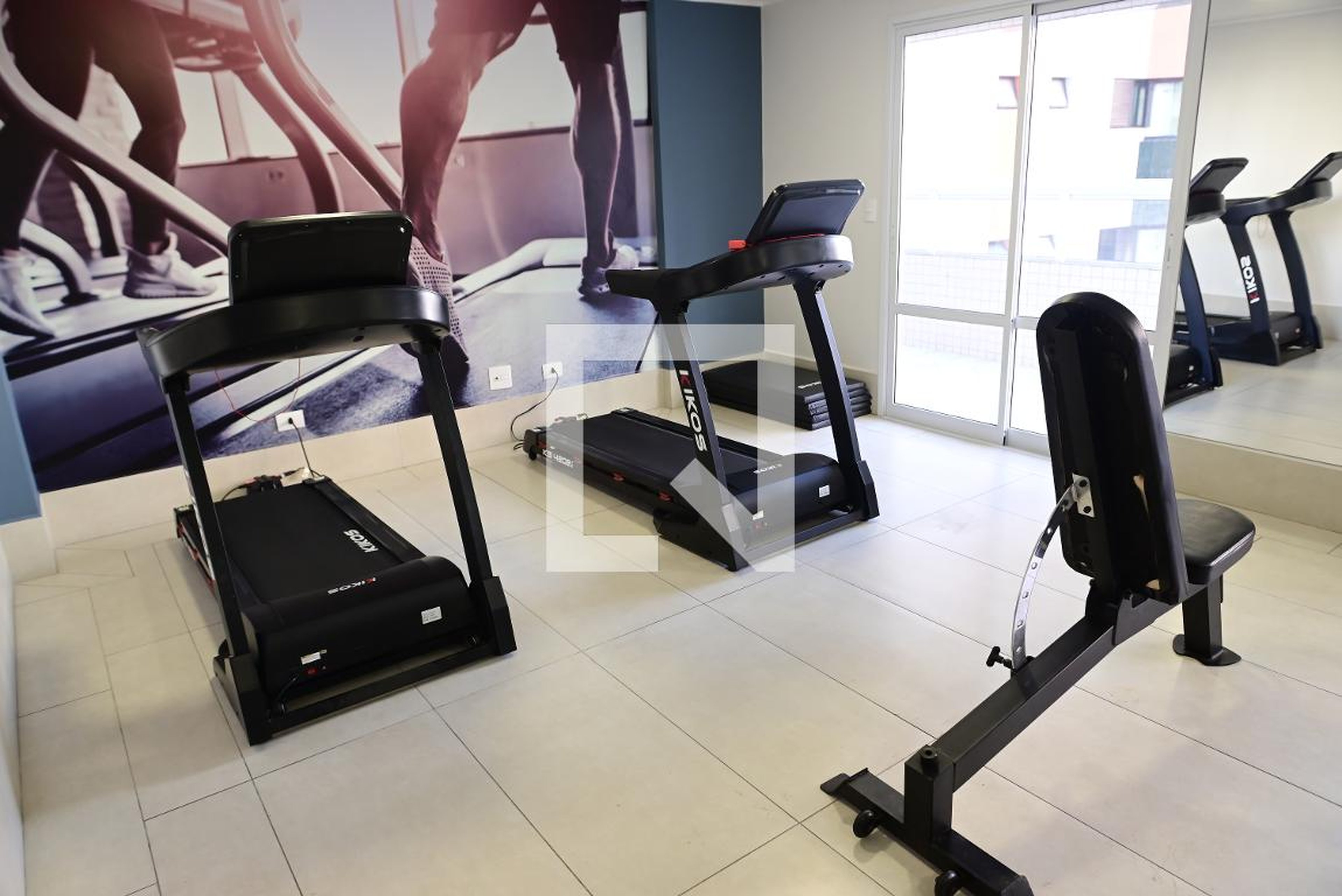 Academia - Pietra Menezes