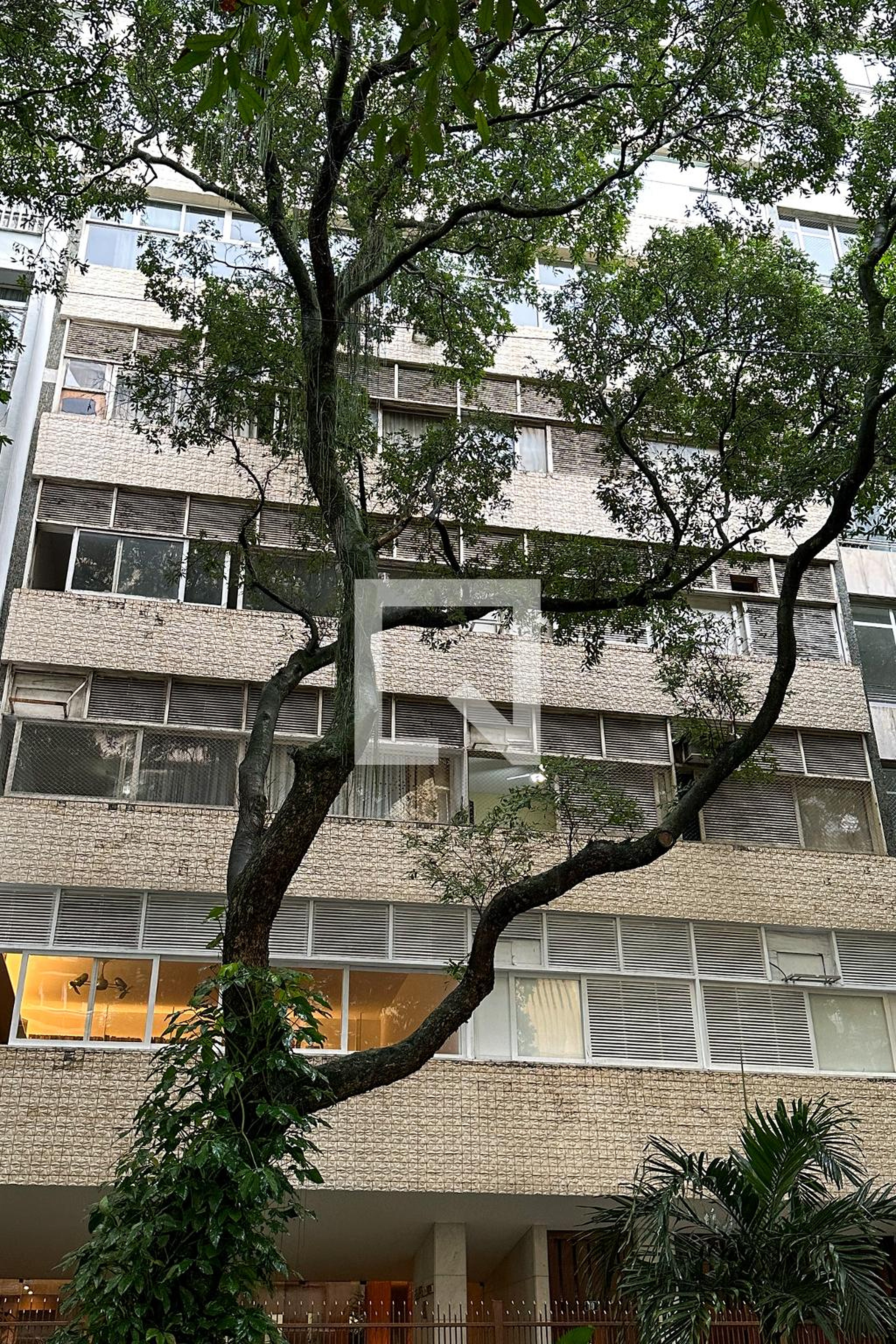 Fachada Edifício Primavera